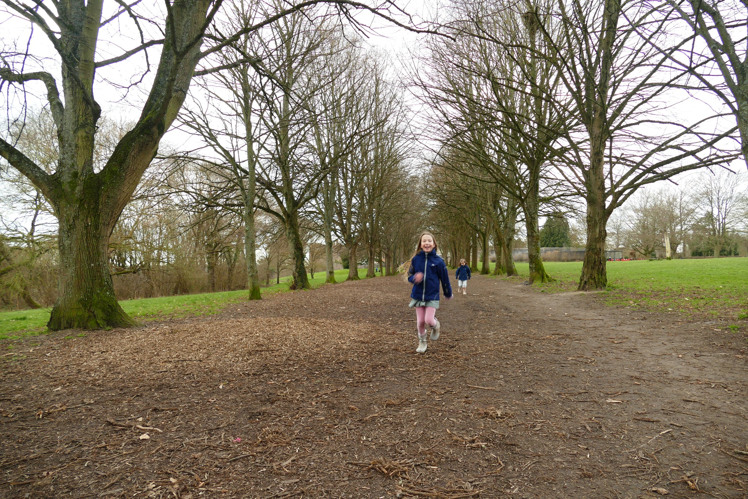A walk for the whole family around Farnham Park — The Ambling Path
