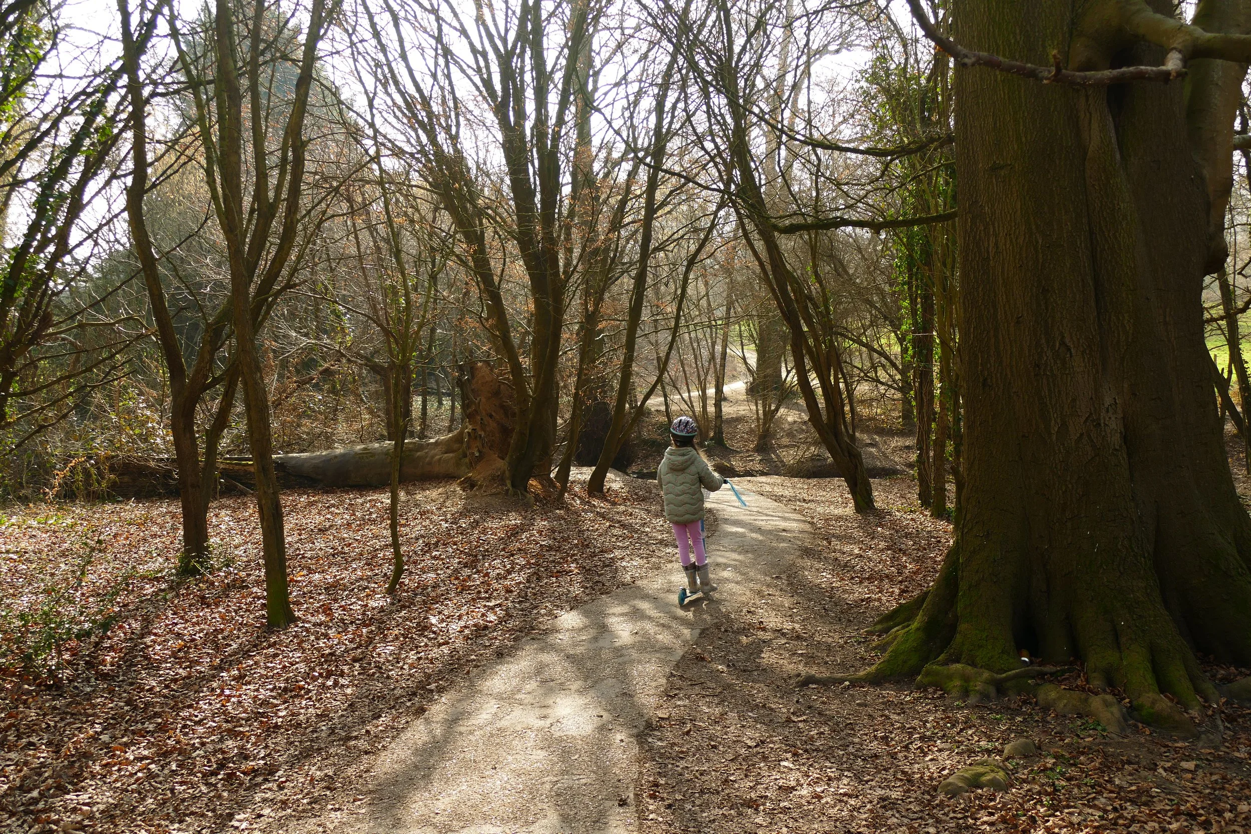 A walk for the whole family around Farnham Park — The Ambling Path