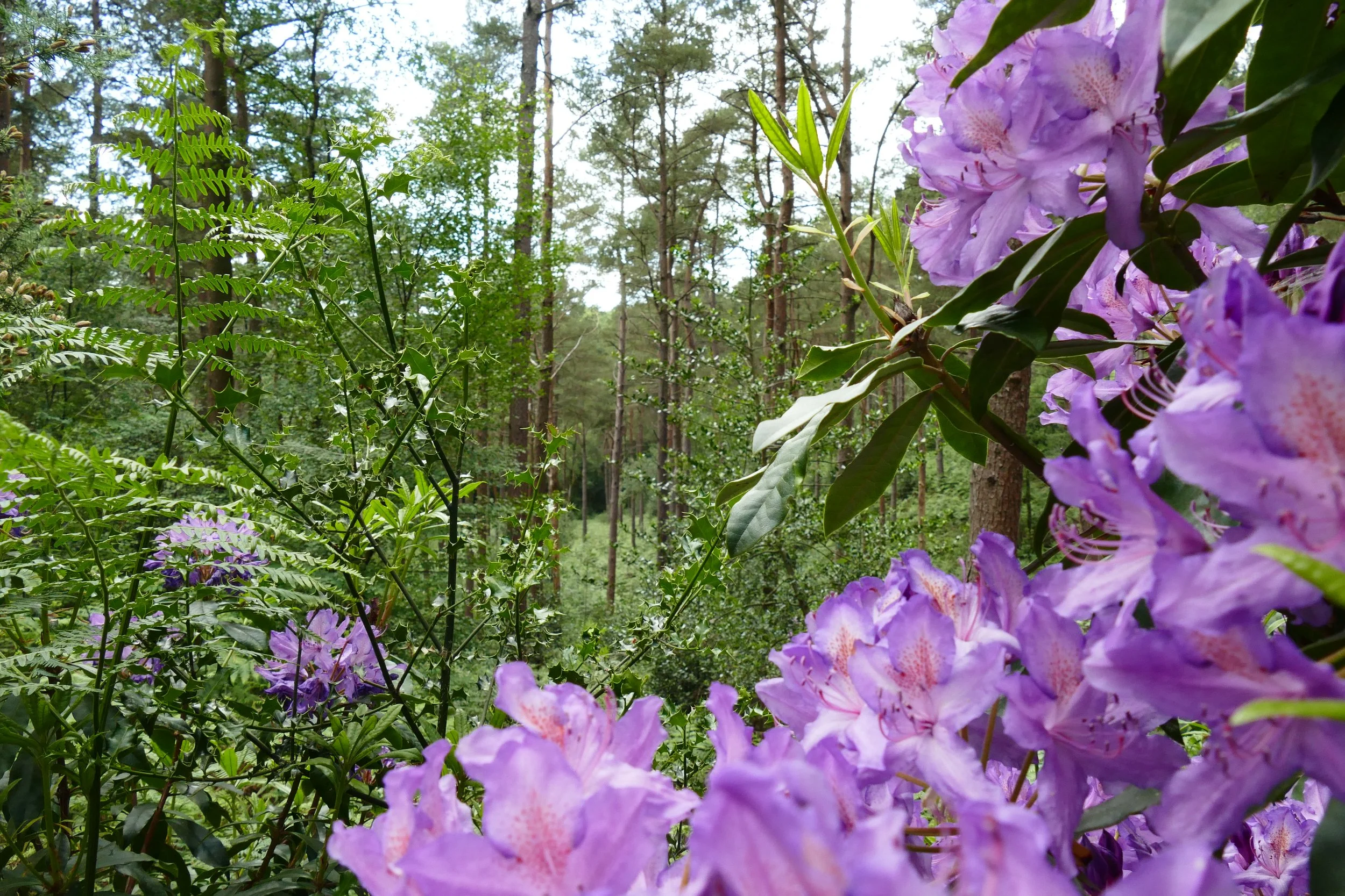 P1660126.JPG
