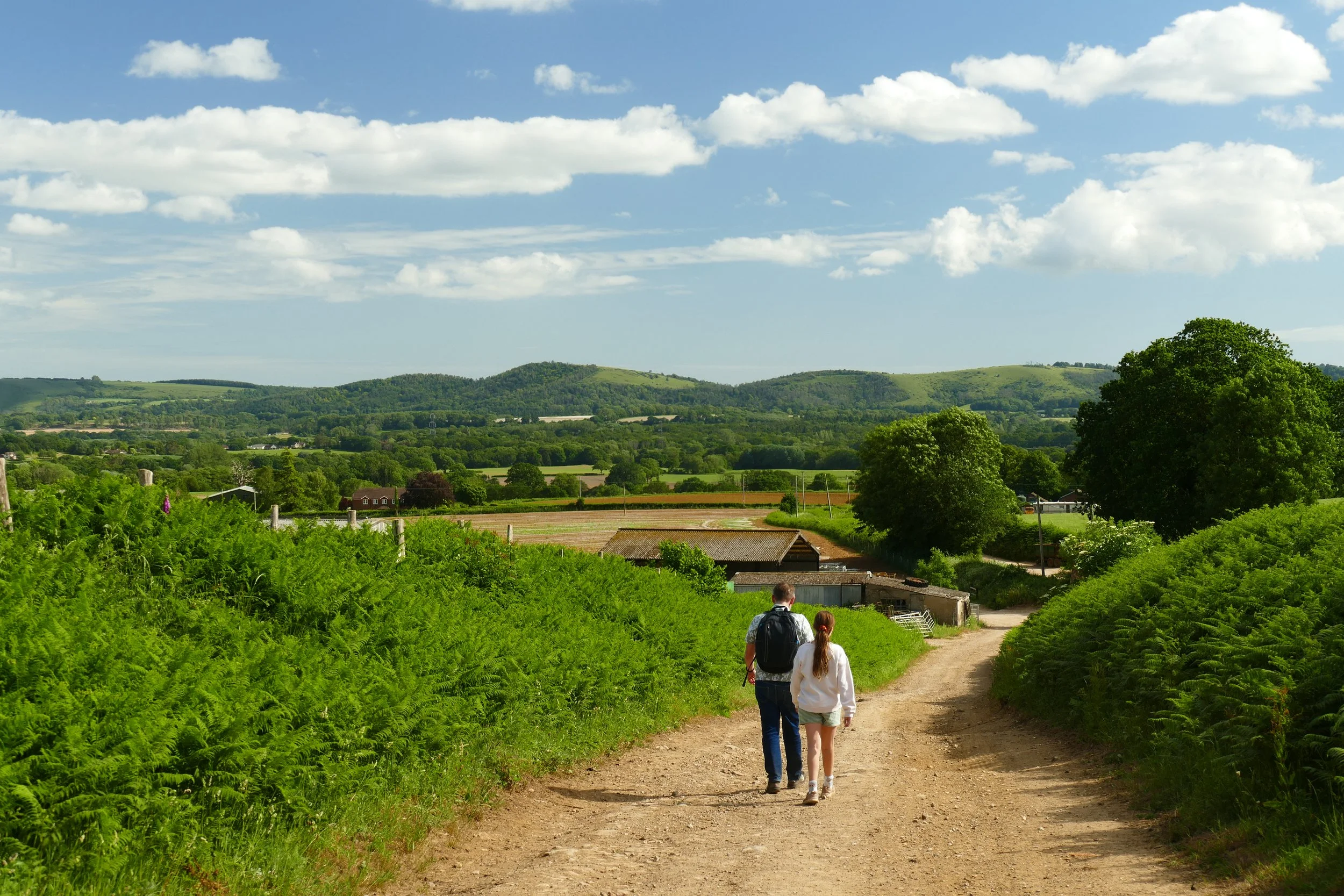 Rogate Common &amp; Durleighmarsh 