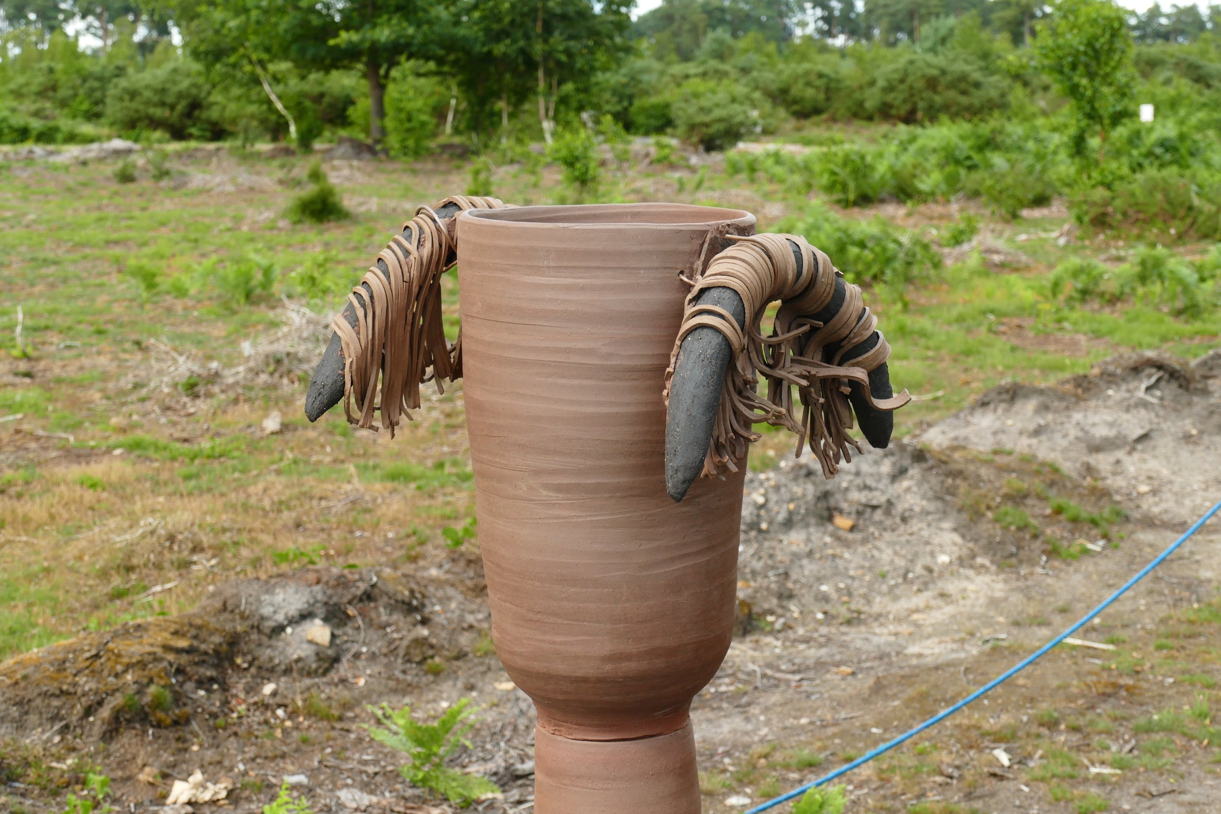 P1660441.JPG