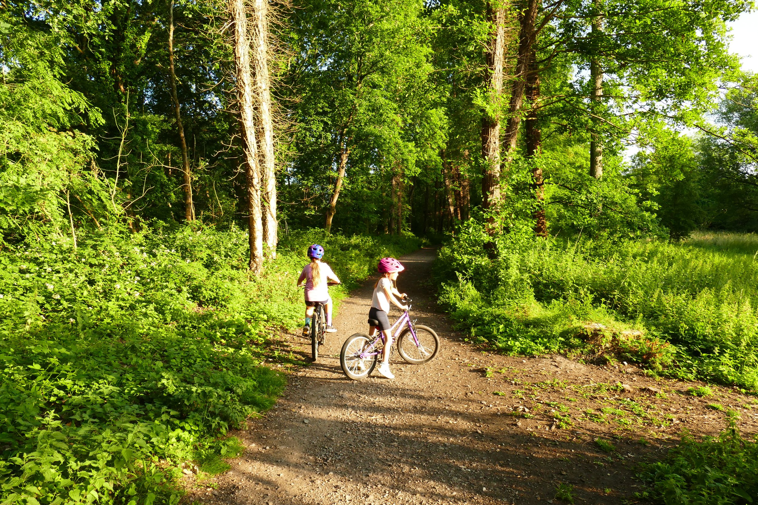Off-road cycling fun
