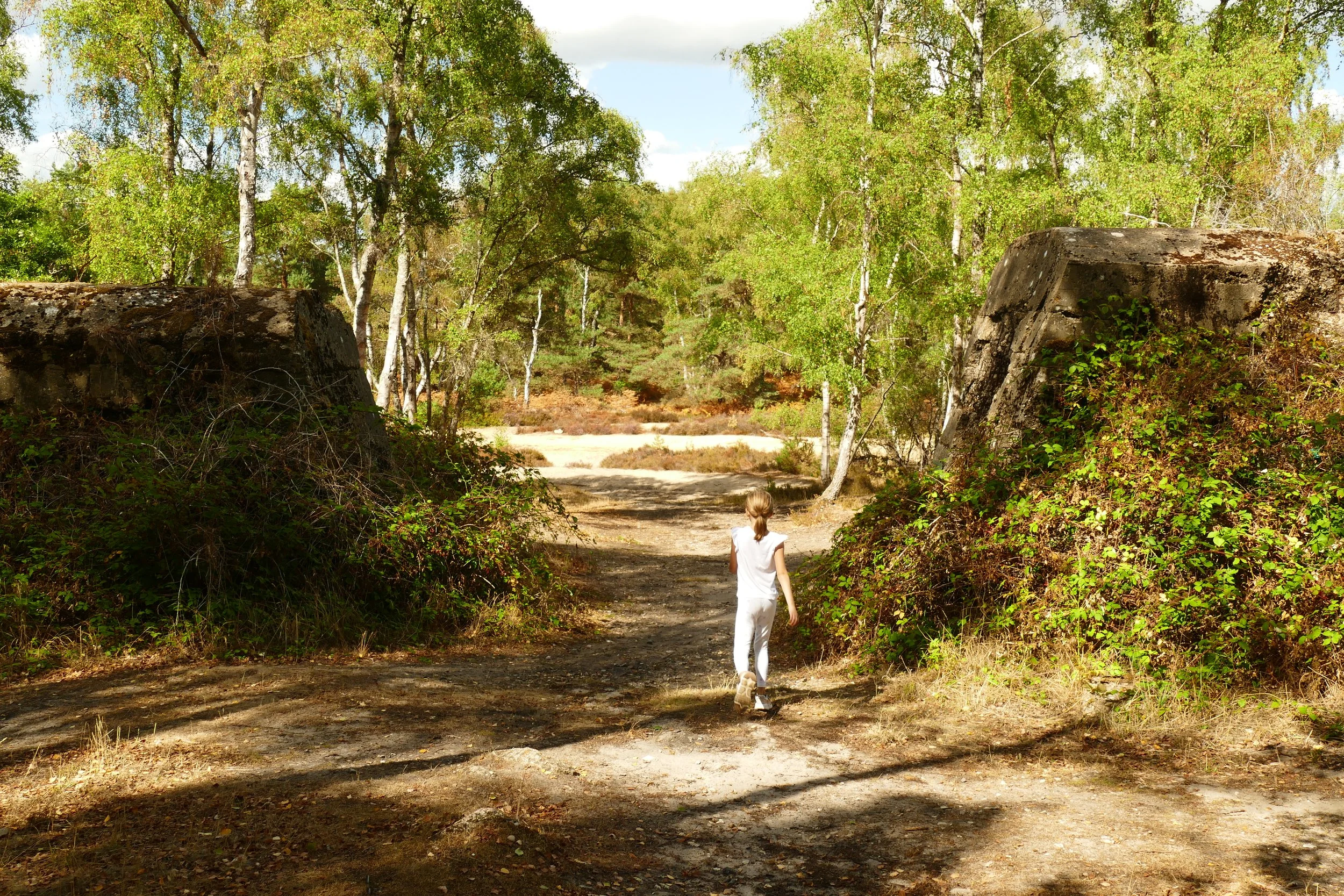 P1680116.JPG