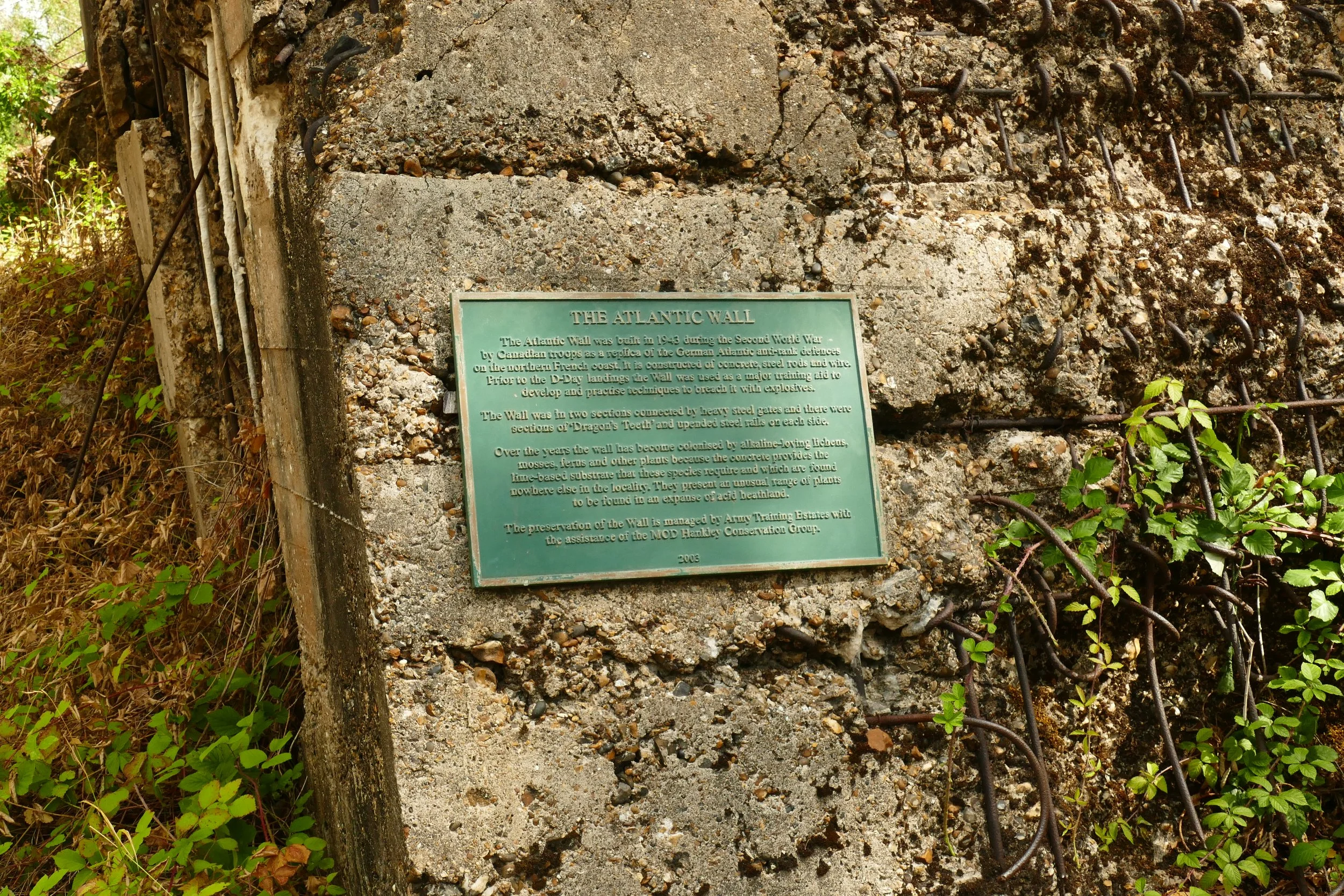P1680121.JPG