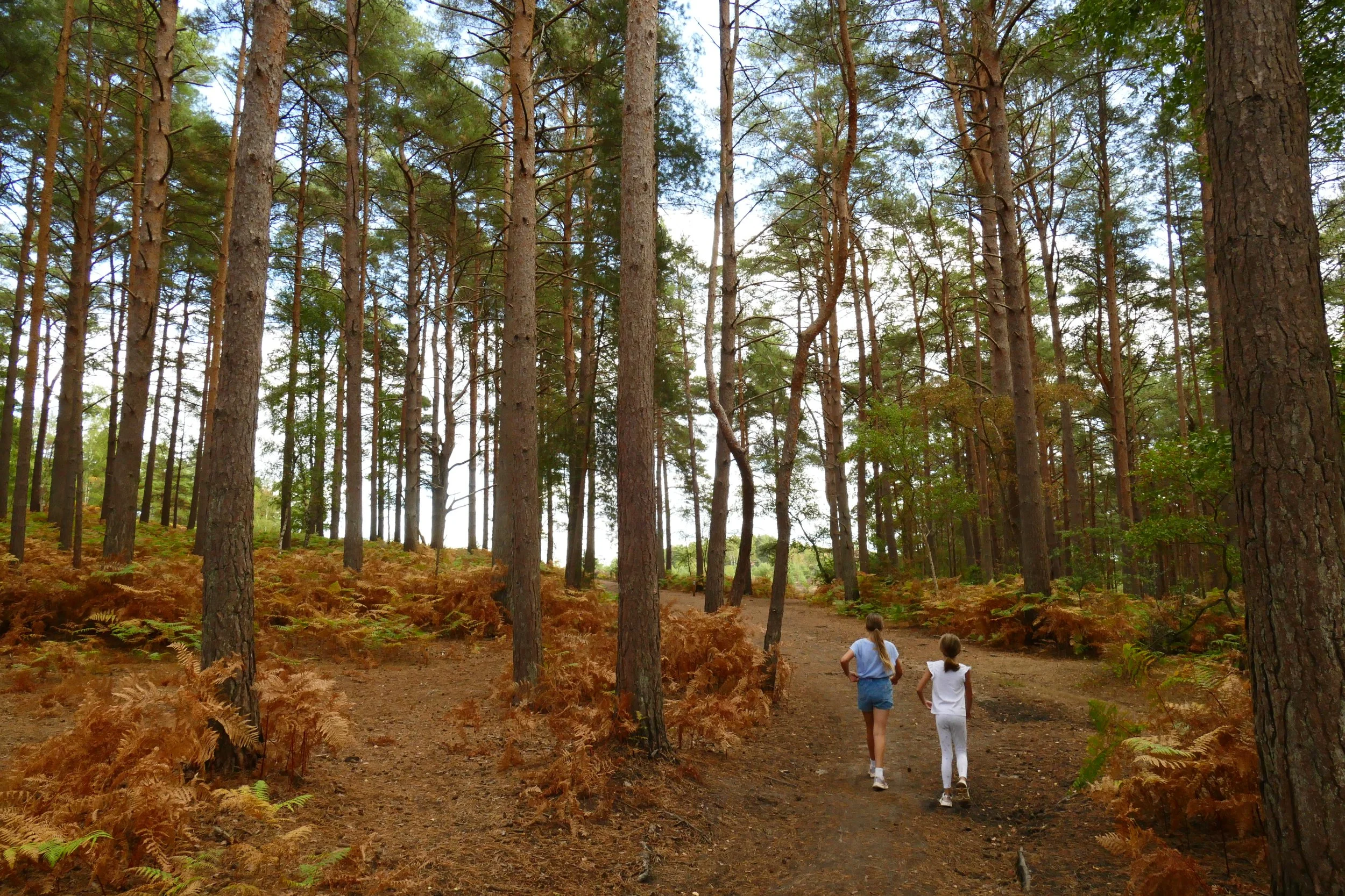 P1680170.JPG