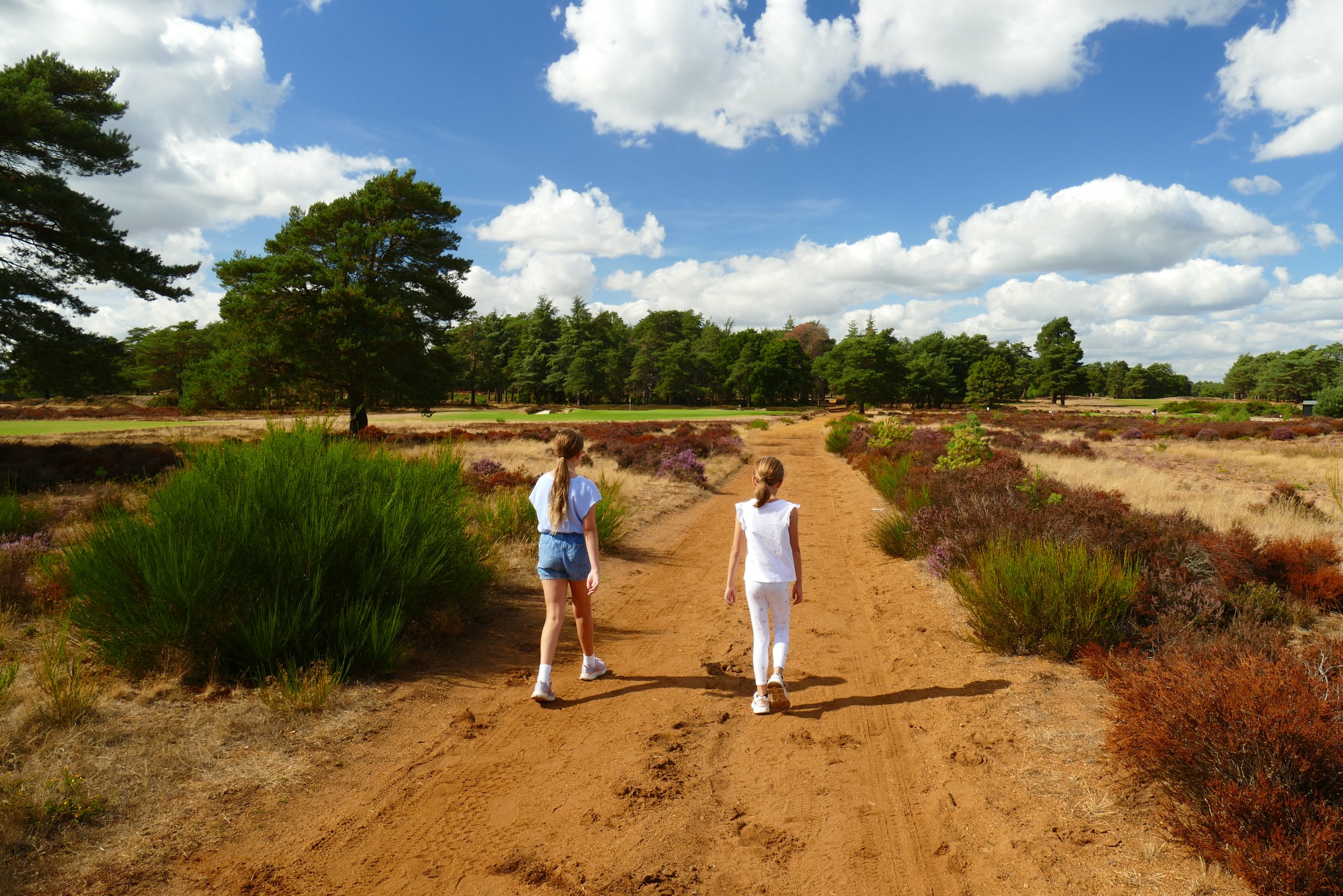 Hankley Common