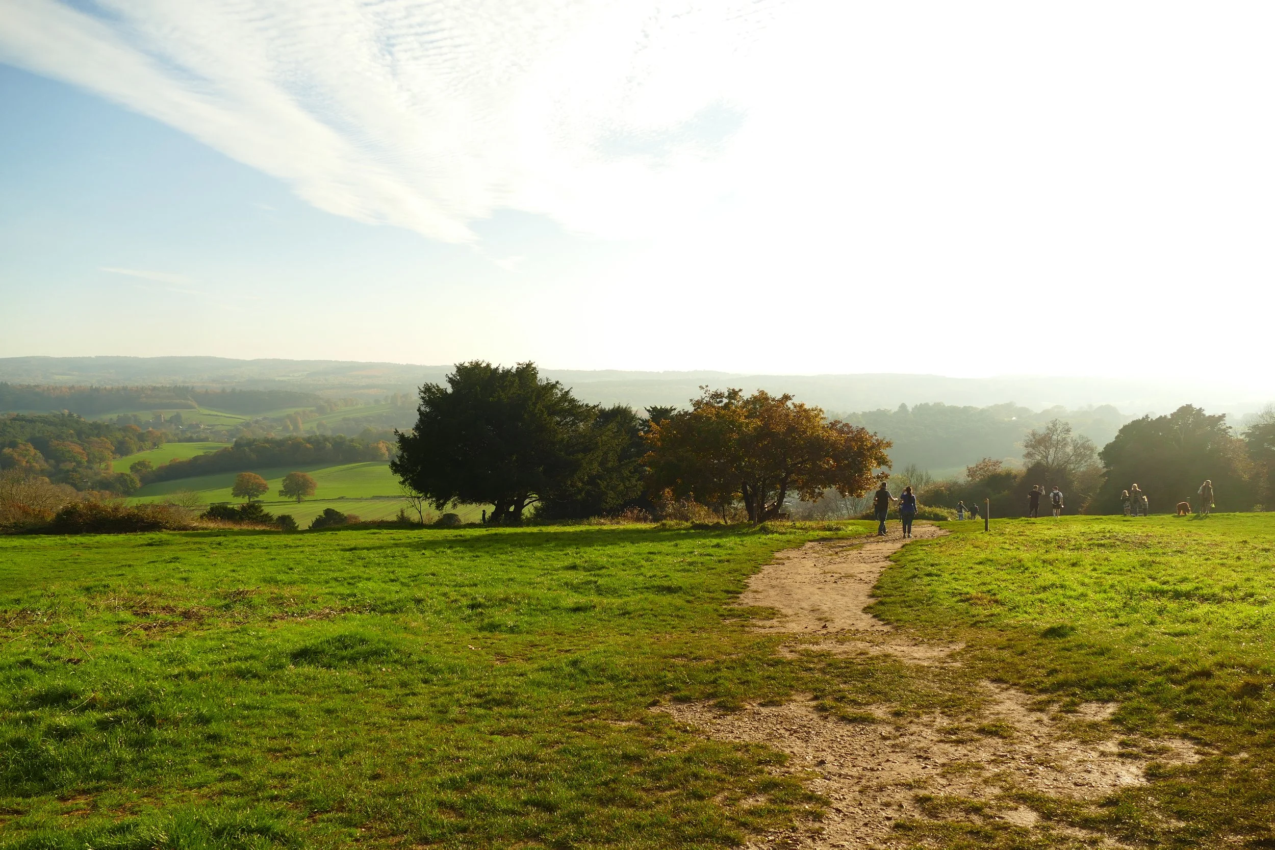 Surrey Hills Walks