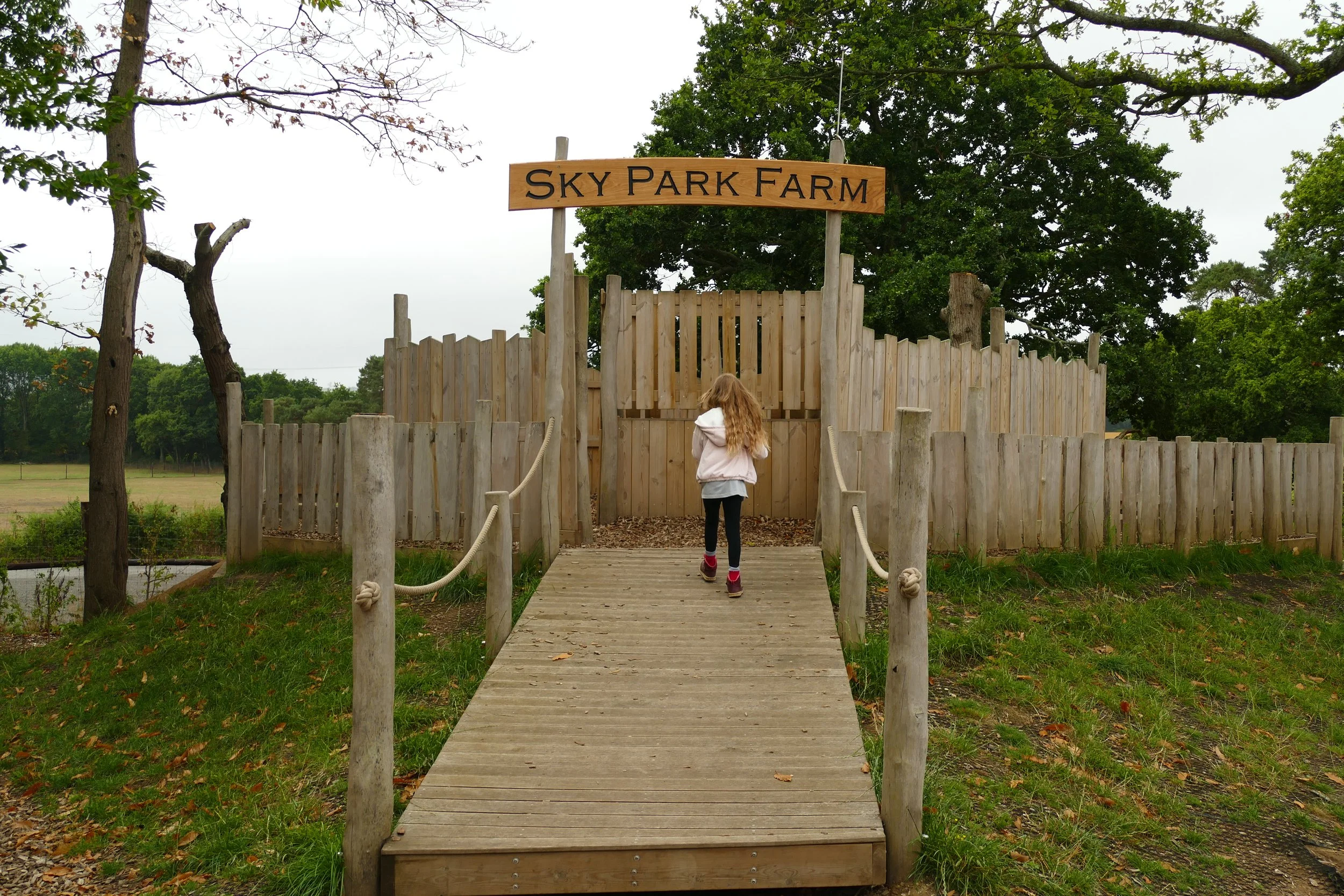 A walk for the whole family from Petersfield to Sky Park Farm — The