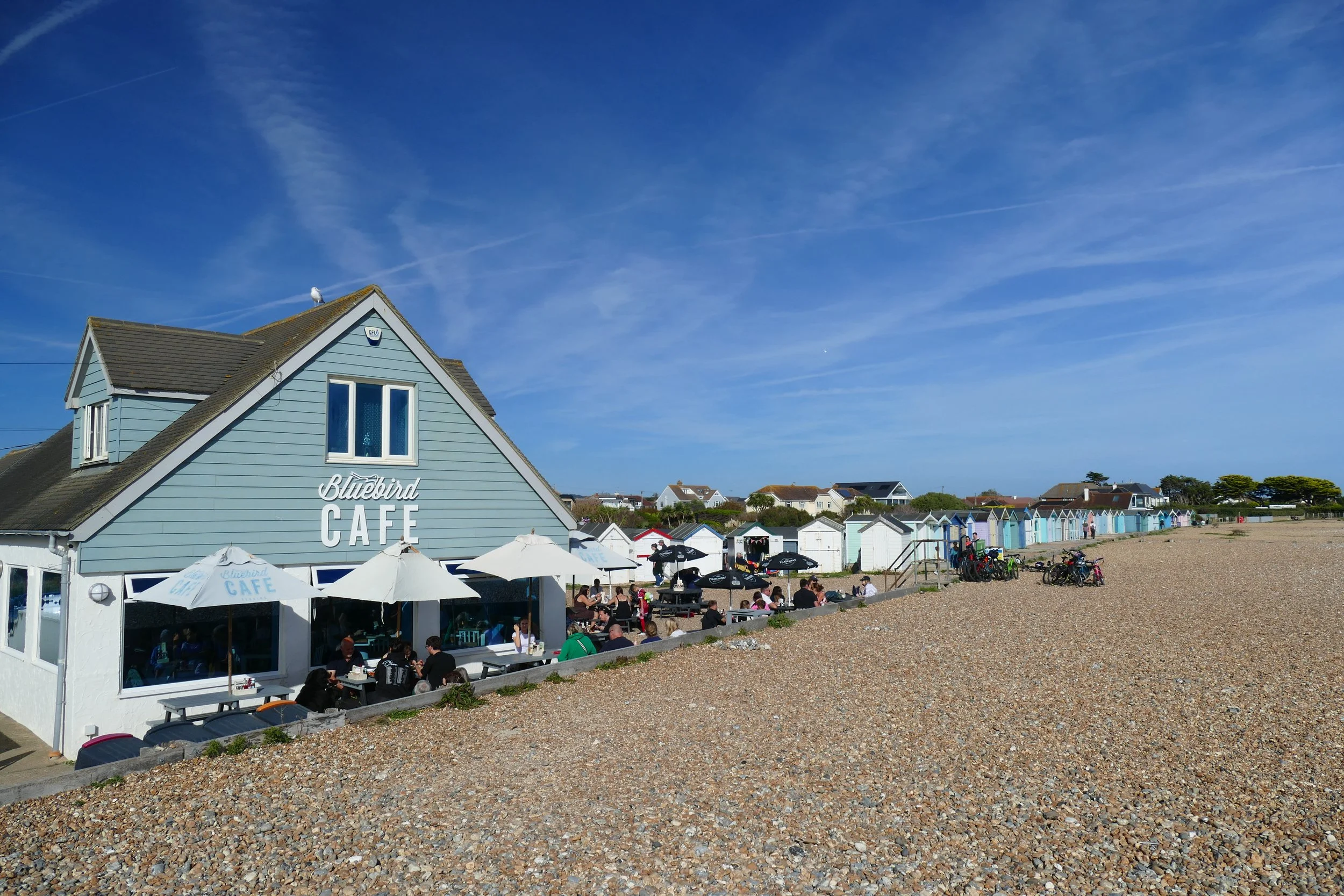 Ferring PDF