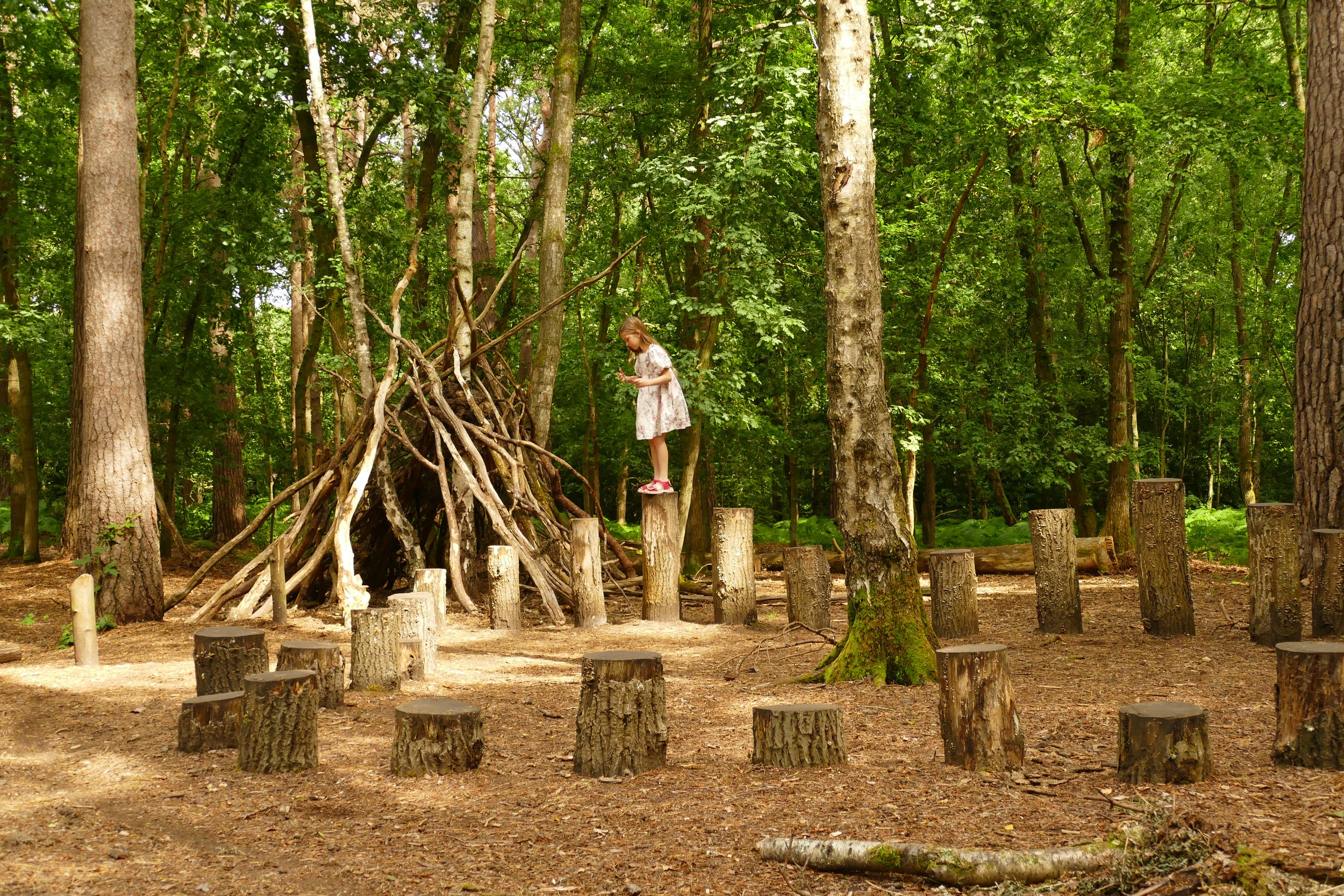 A walk for the whole family around Witley Common — The Ambling Path ...
