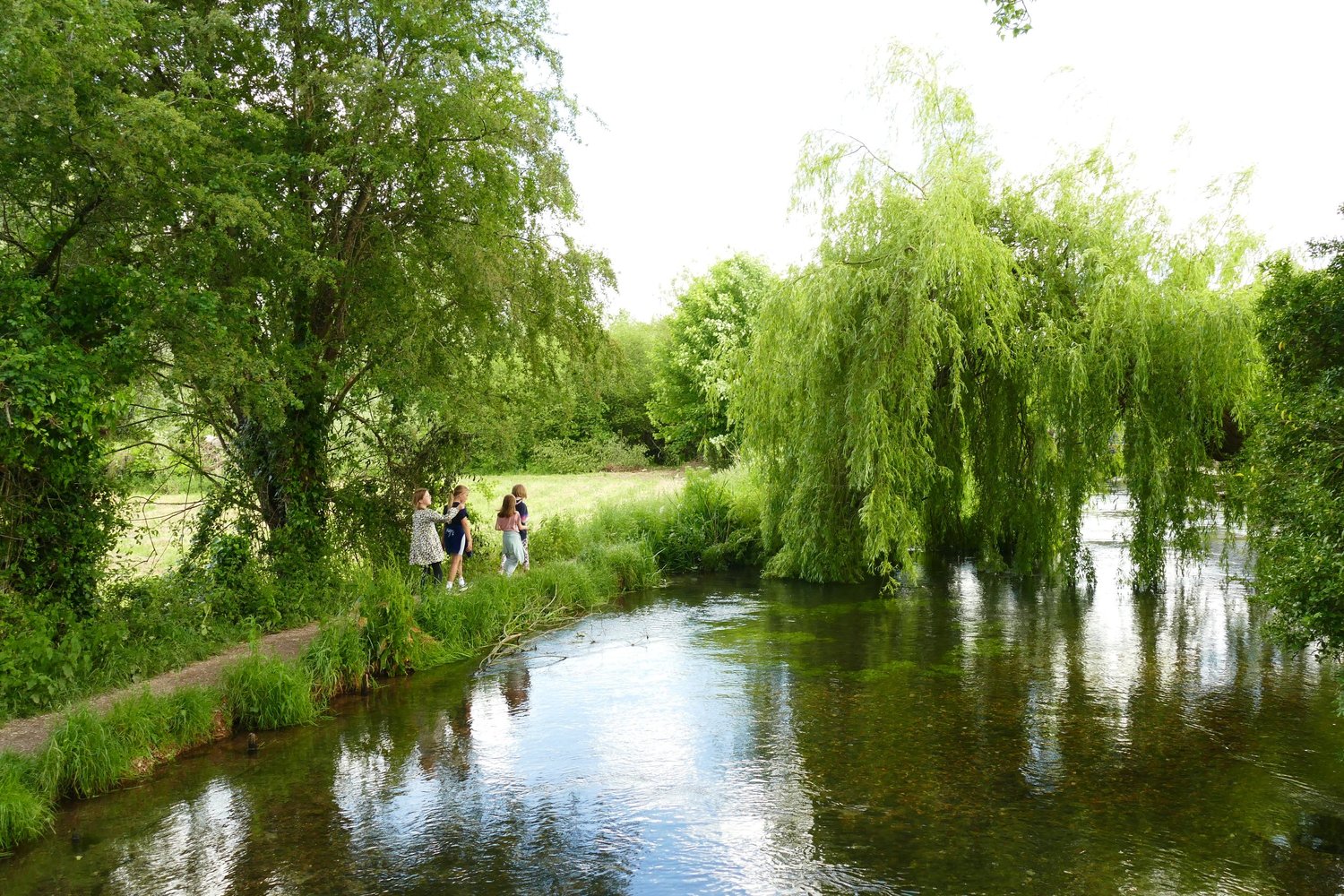 A collection of short and easy walks around The River Itchen in ...