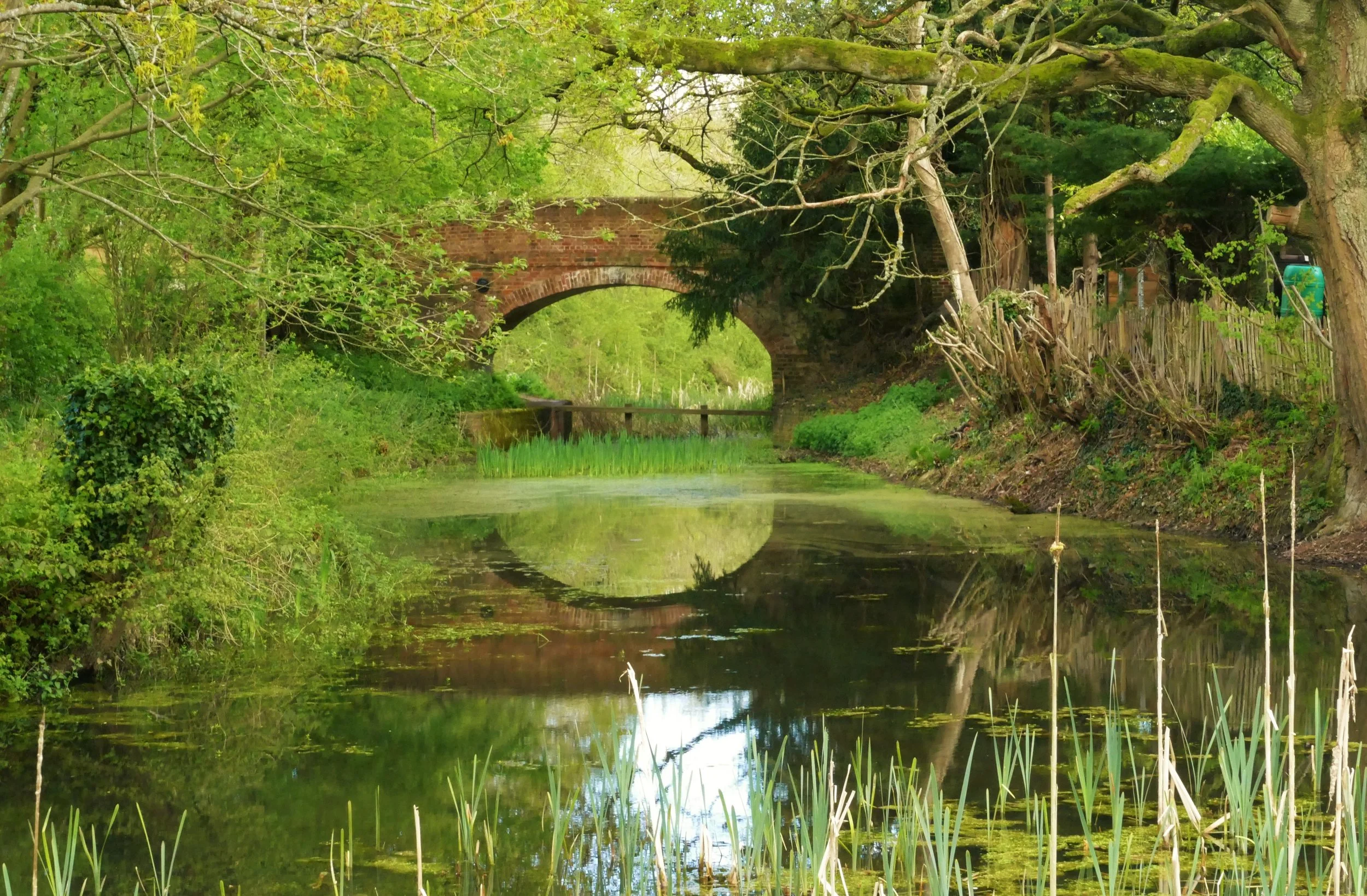 A collection of our favourite walks beside The Basingstoke Canal — The ...