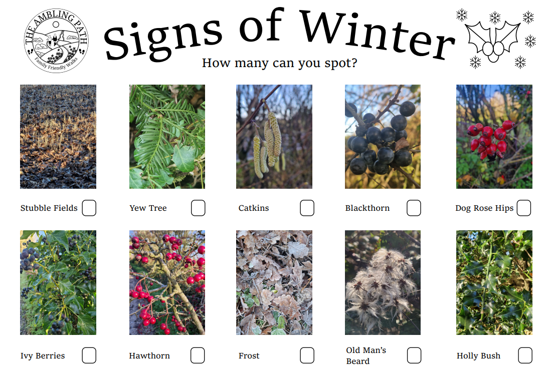 Signs of winter