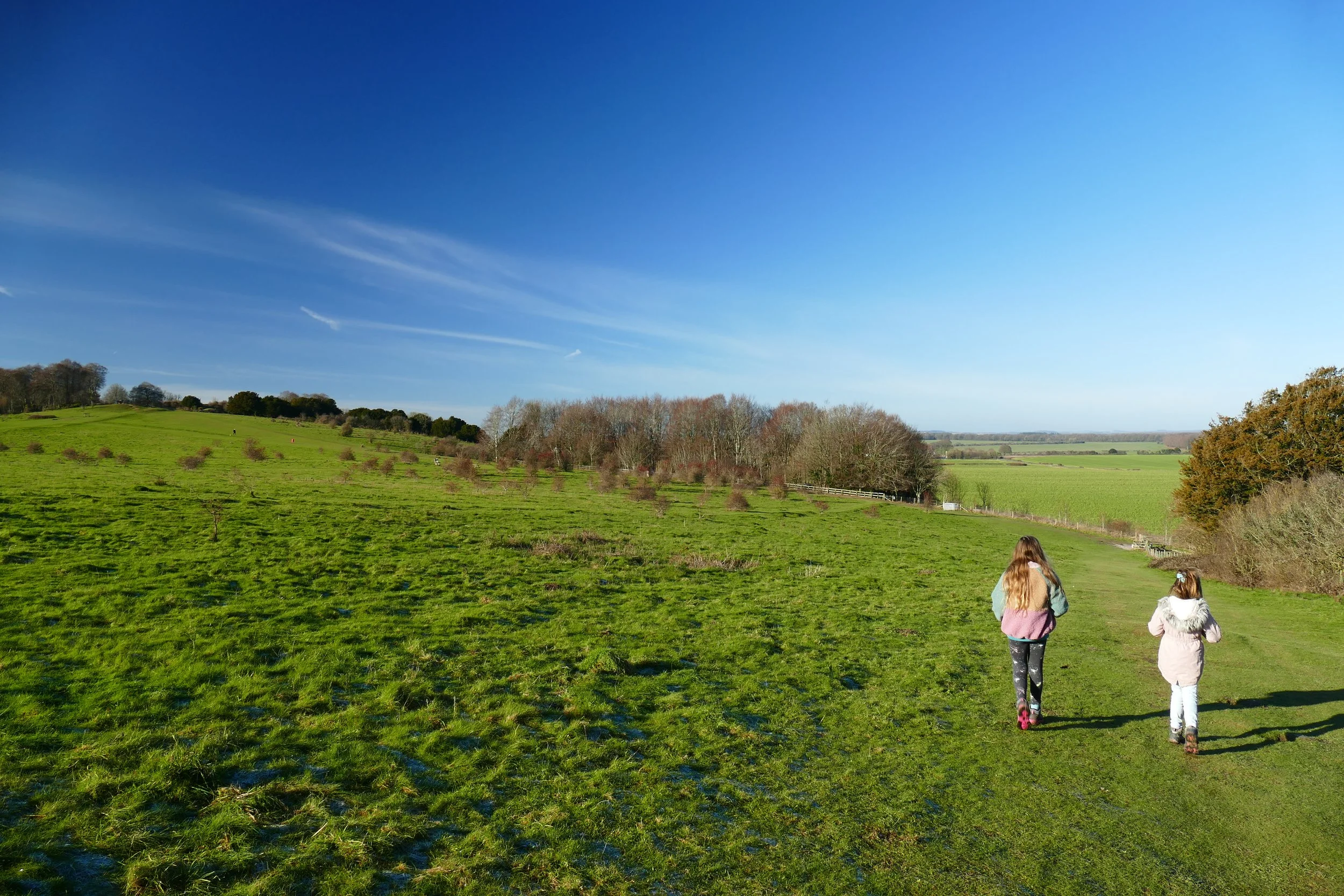 Danebury Iron Age Hill Fort PDF