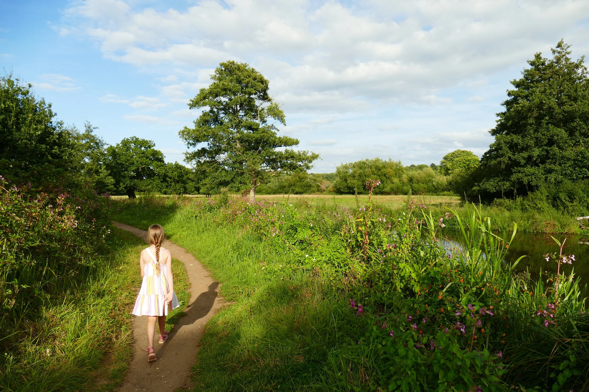A Walk For The Whole Family Around Hascombe Hill Near Godalming - The