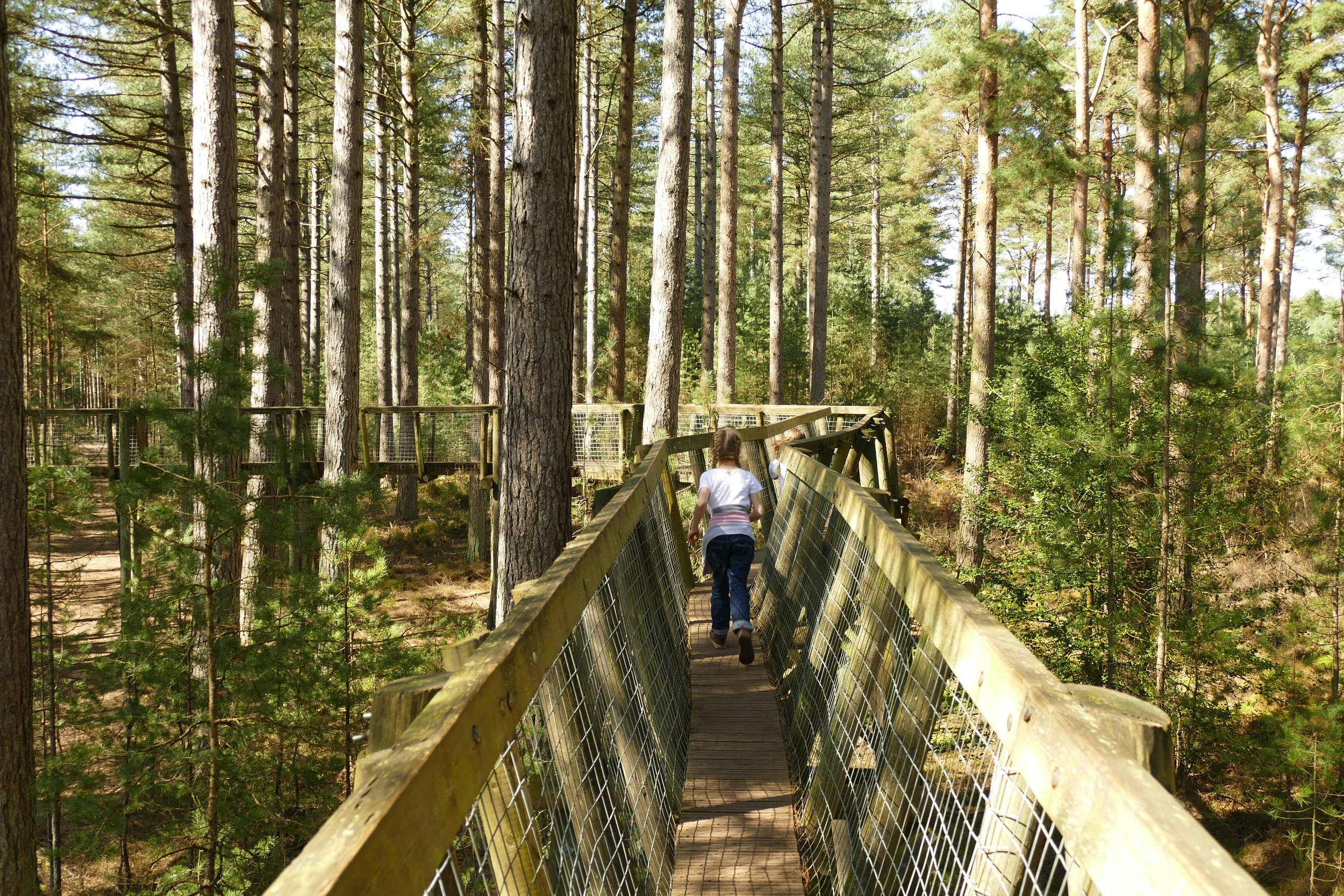 A walk for the whole family at Moors Valley Country Park — The Ambling