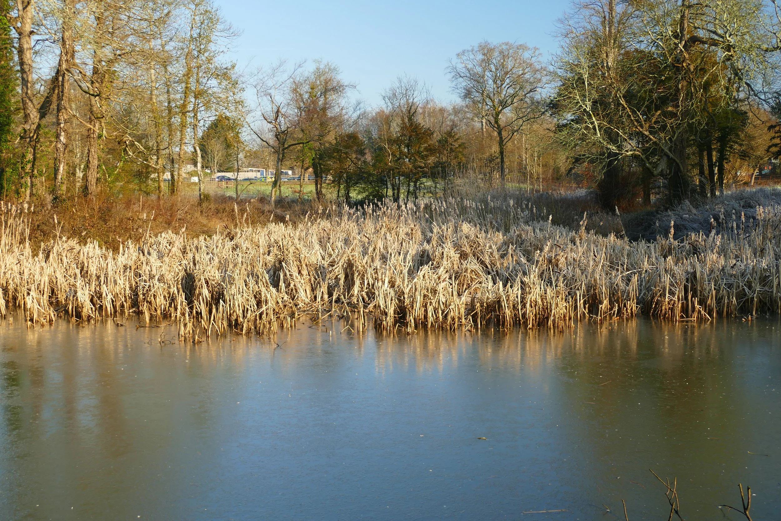 A walk for the whole family around The Southwick Estate — The Ambling