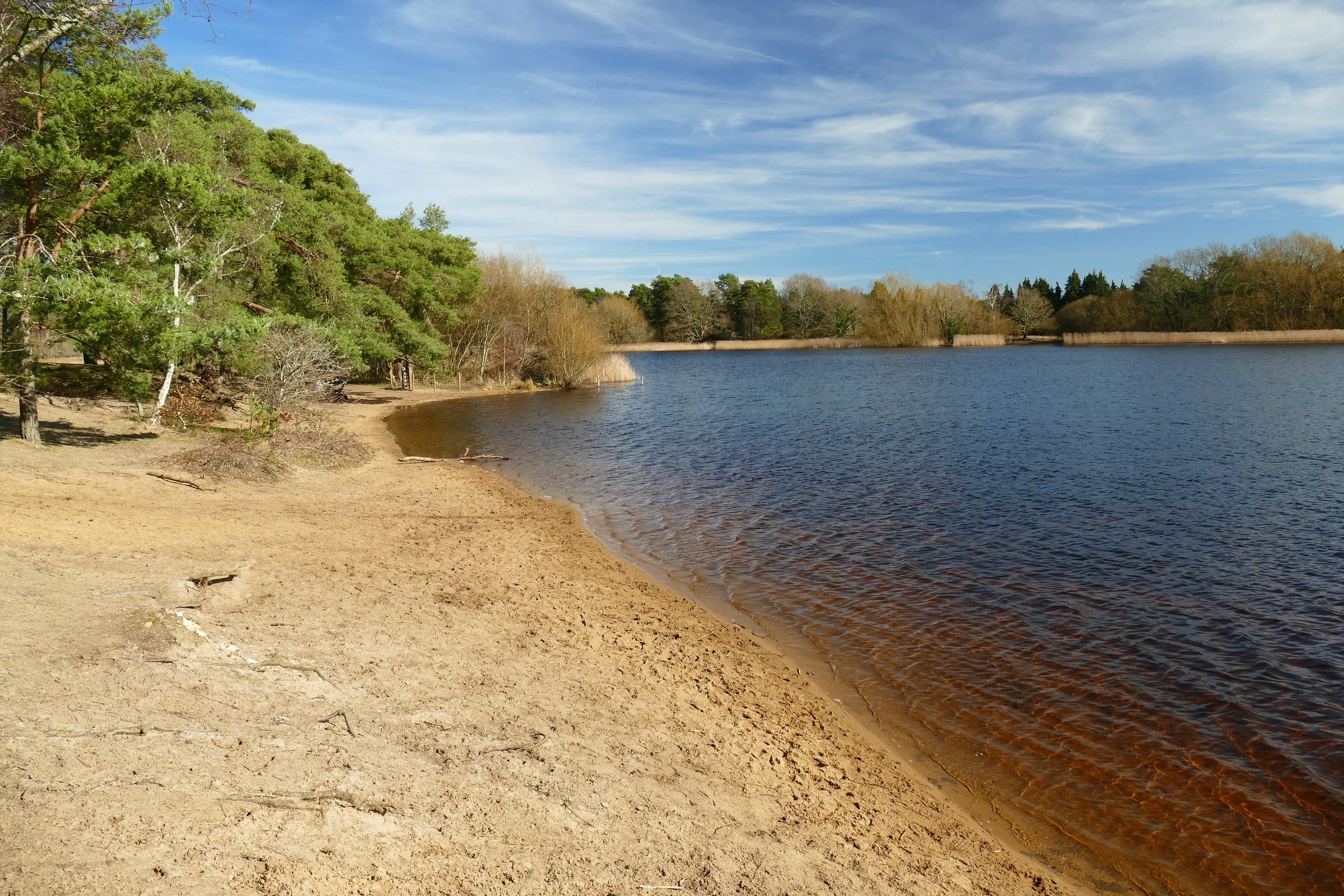 Frensham Little Pond PDF