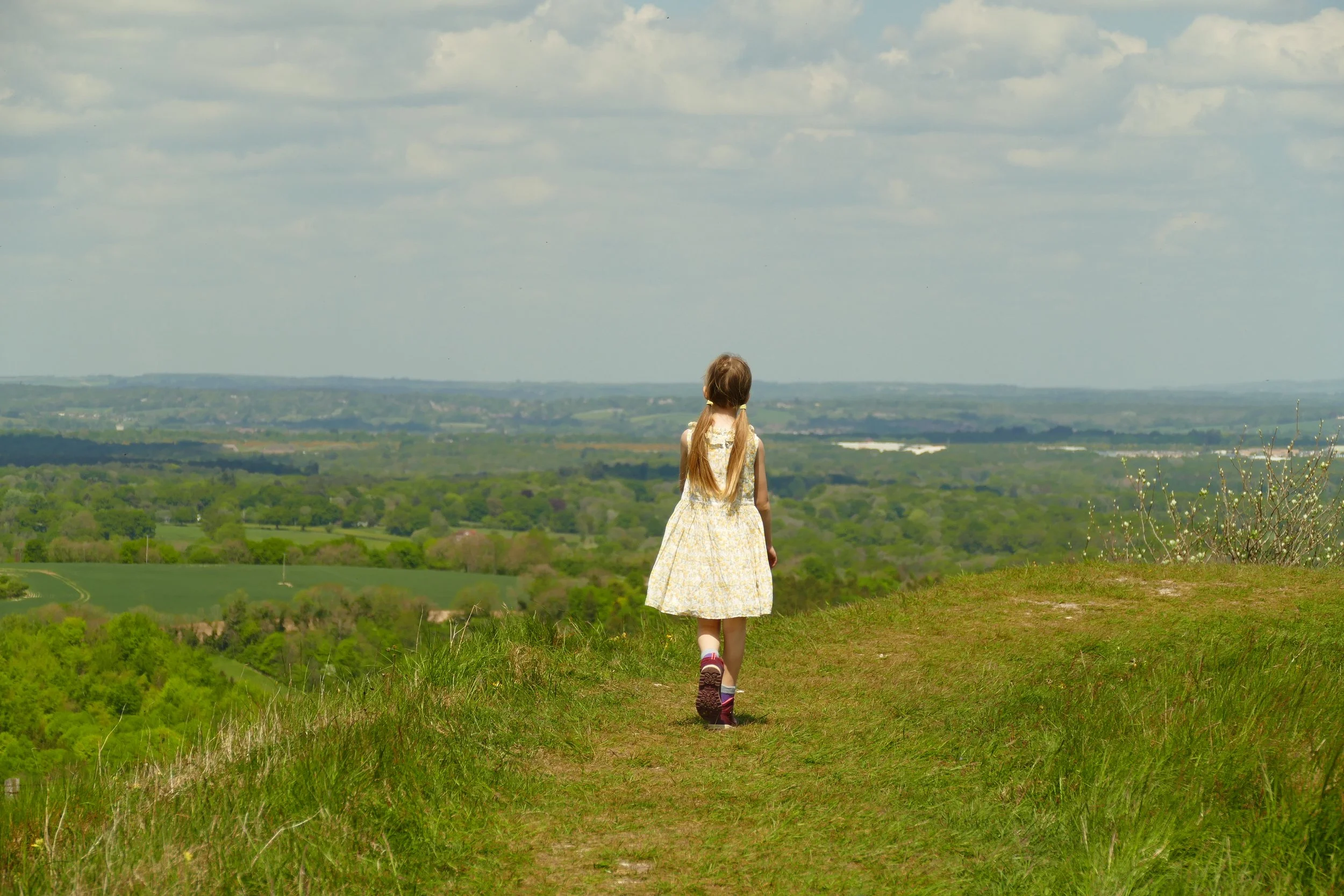 Beacon Hill Burghclere PDF