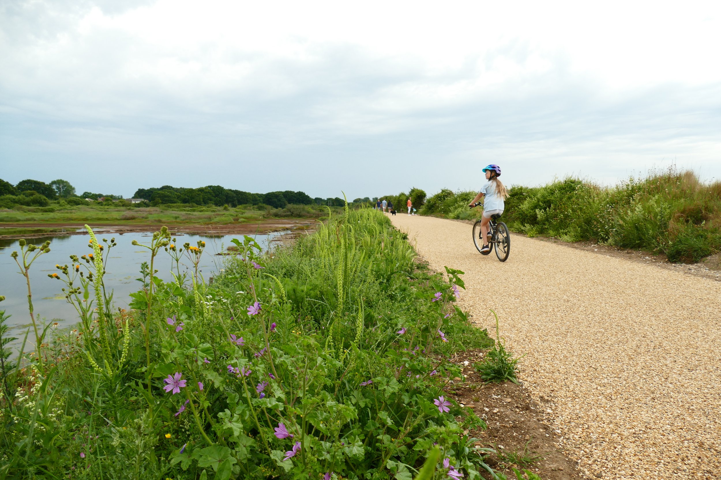 Hayling Billy Trail PDF