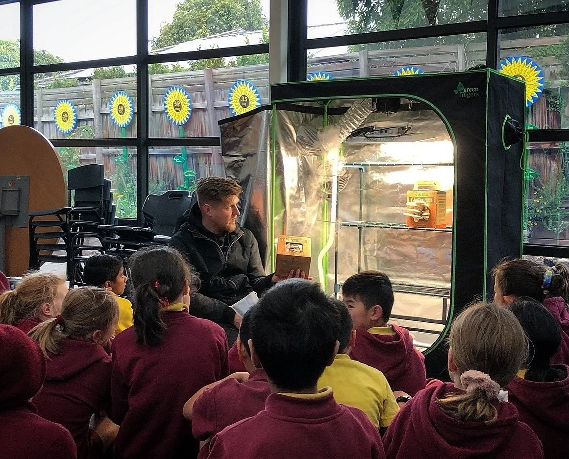 Talking about mushrooms and the importance of fungi as decomposers in the soil food web. Harvesting the first oyster mushrooms with the year 4&rsquo;s @murrumbeena.primary.school