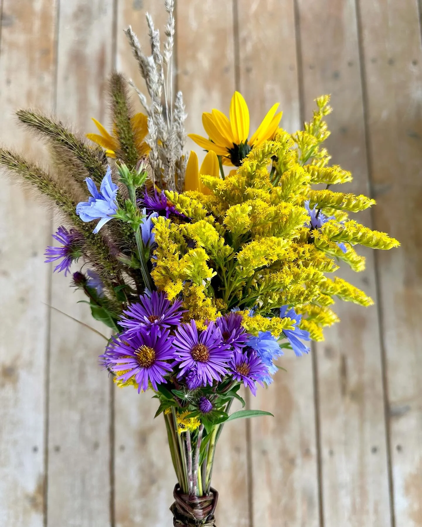 Our tasting room is closed today, Monday, September 1. We will reopen our tasting room doors on Thursday, September 4. 
As harvest nears our fall tasting room hours are now Thursday thru Monday from 11 AM - 5 PM. We look forward to hosting you soon!