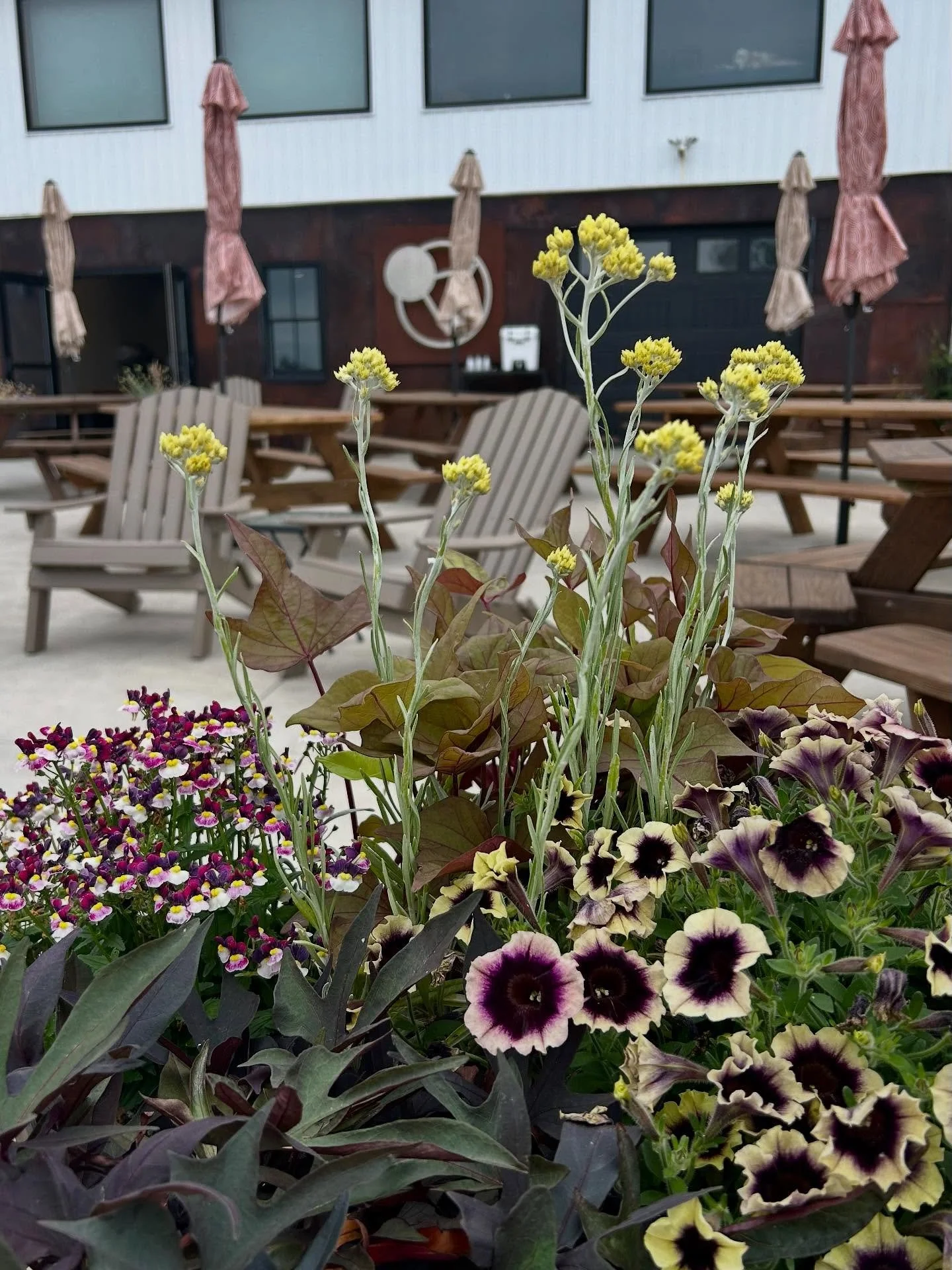 Summer on the Patio | Join us for a tasting, or wine by the glass or bottle this weekend!🥂