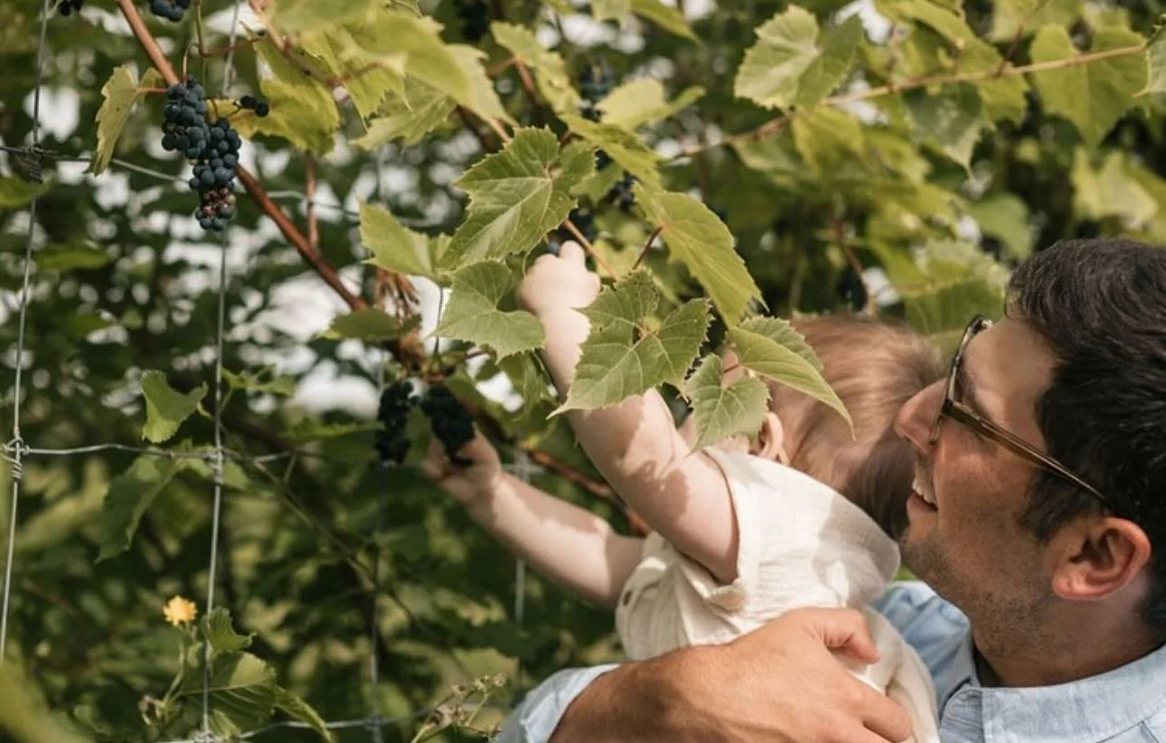 Our tasting room will be closing early today to celebrate Father&rsquo;s Day with our family. Happy Father&rsquo;s Day! 

Open today 11 AM - 3 PM
Last tasting begins at 2:30