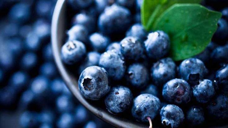 10 Superfoods That Should Be In Your regular Diet