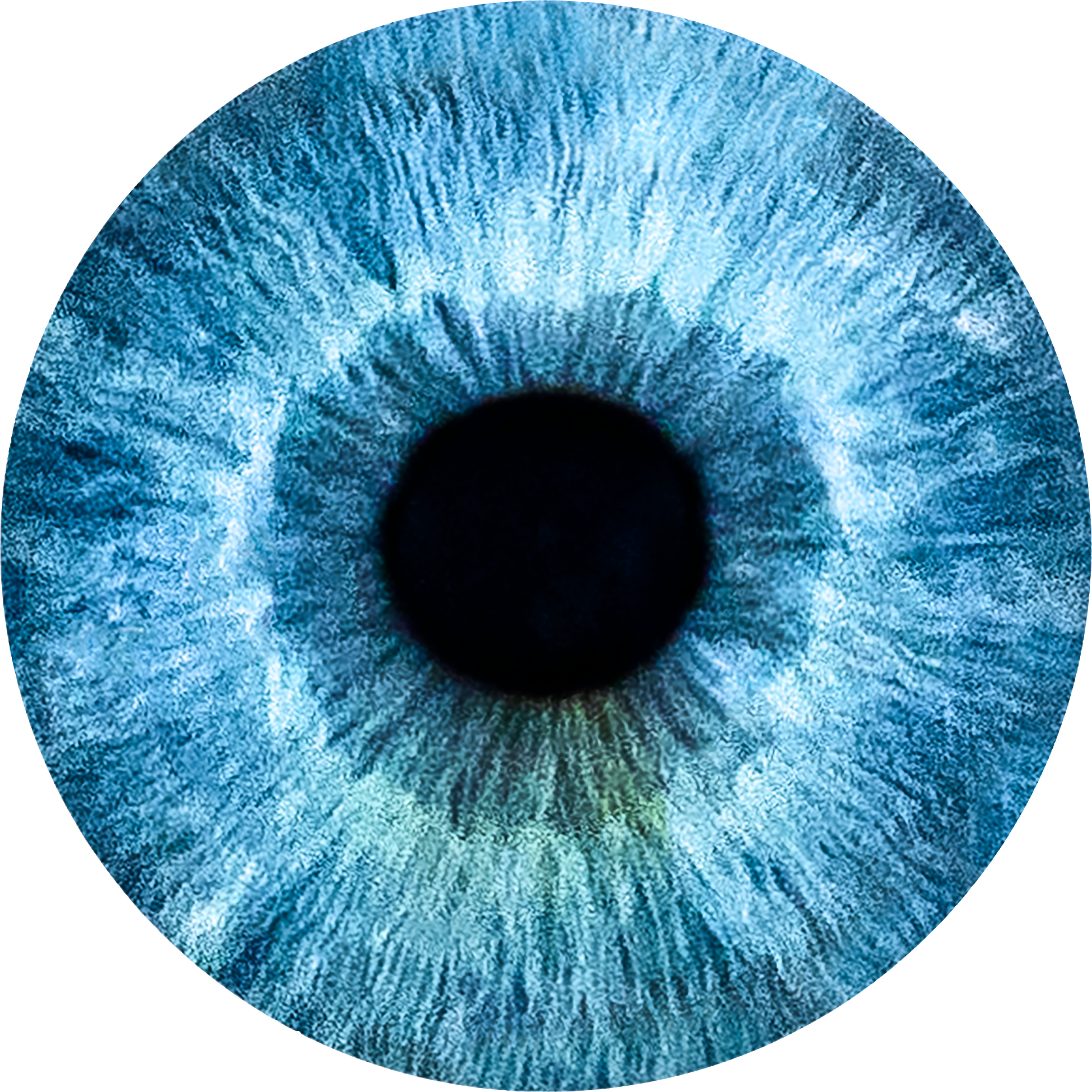 PNG_0001_Jonathan_Leo_Eyes_8.png