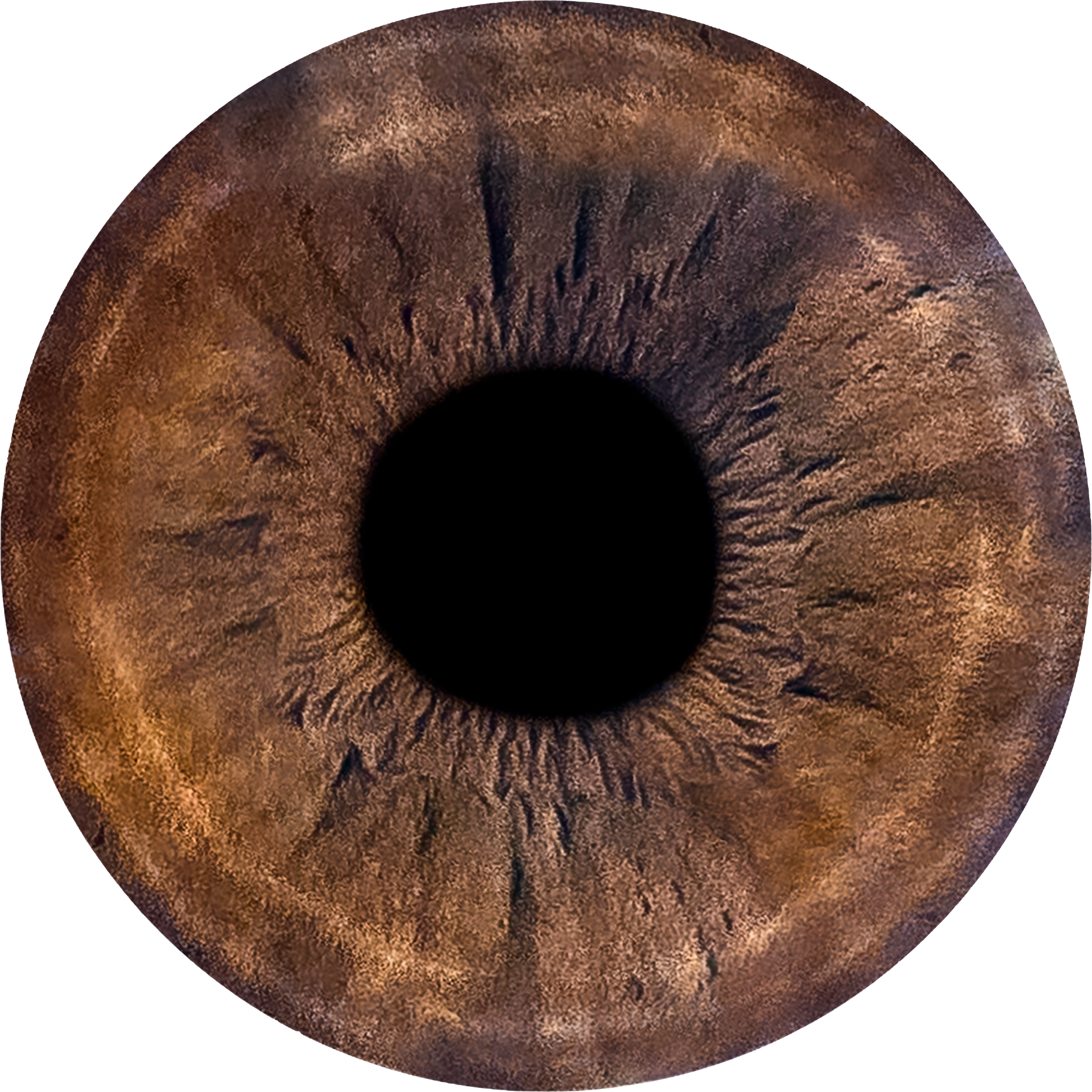 PNG_0002_Jonathan_Leo_Eyes_7.png