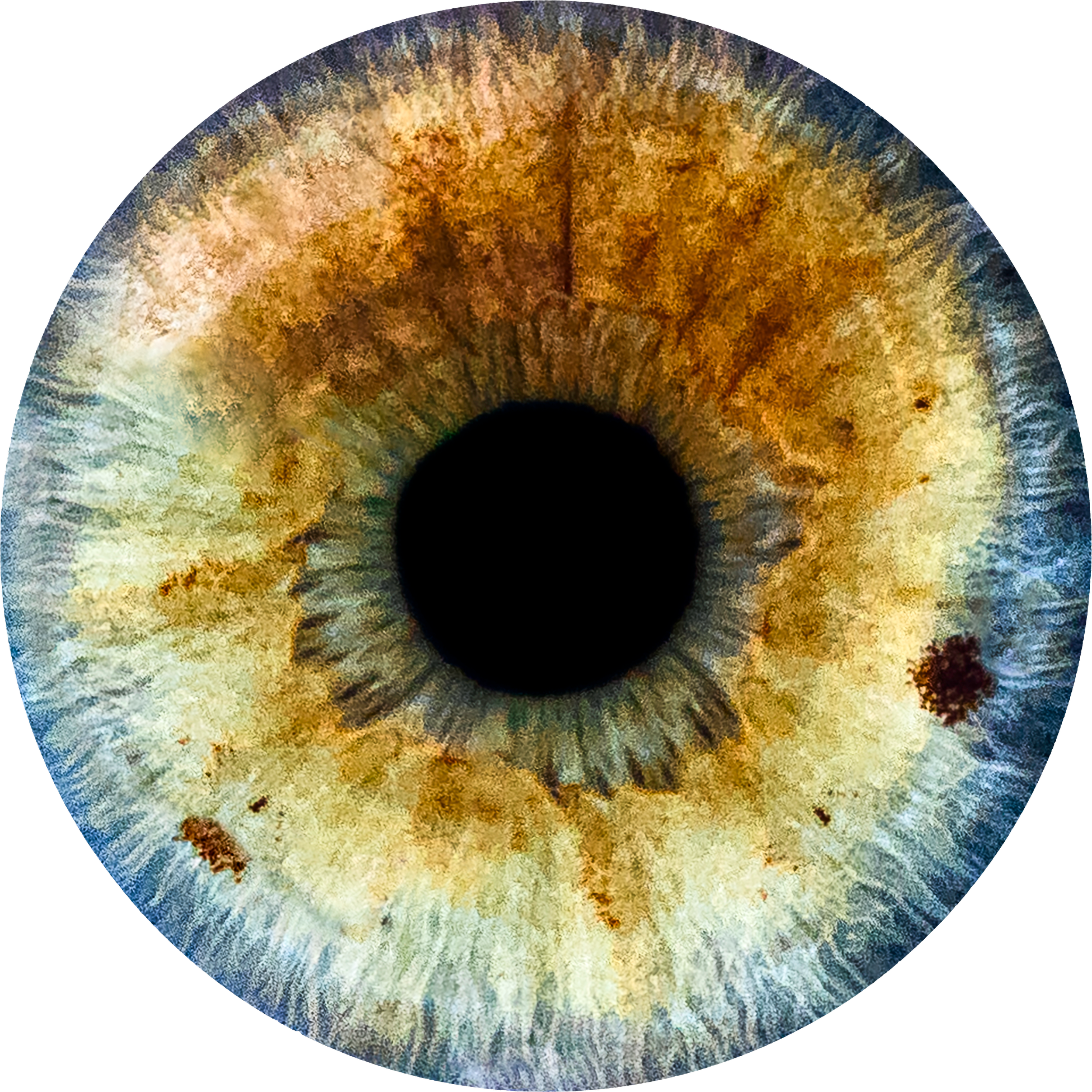 PNG_0003_Jonathan_Leo_Eyes_6.png