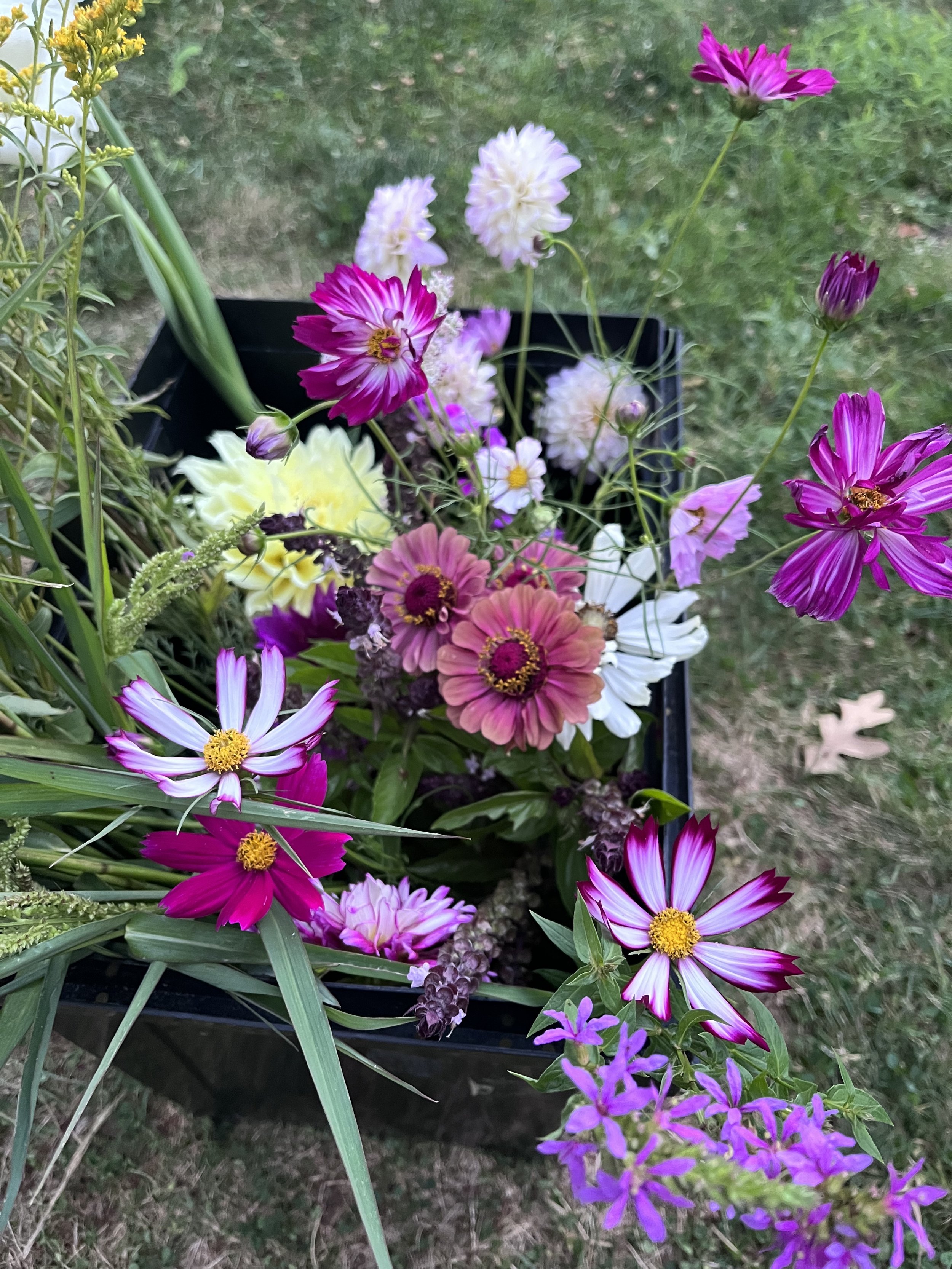 image3(21).jpeg