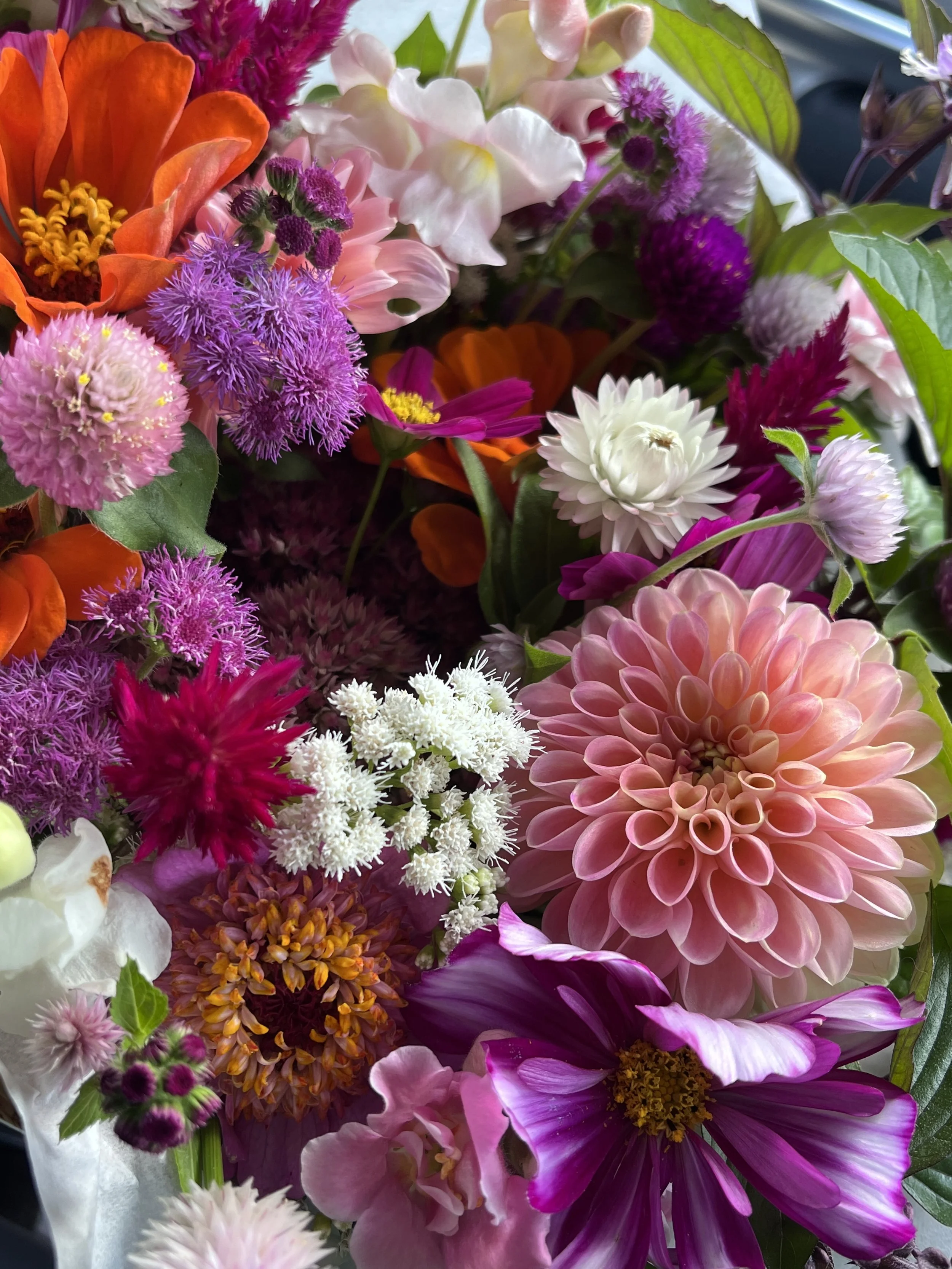 Bouquet of the Month Club *Pick Up* CSA