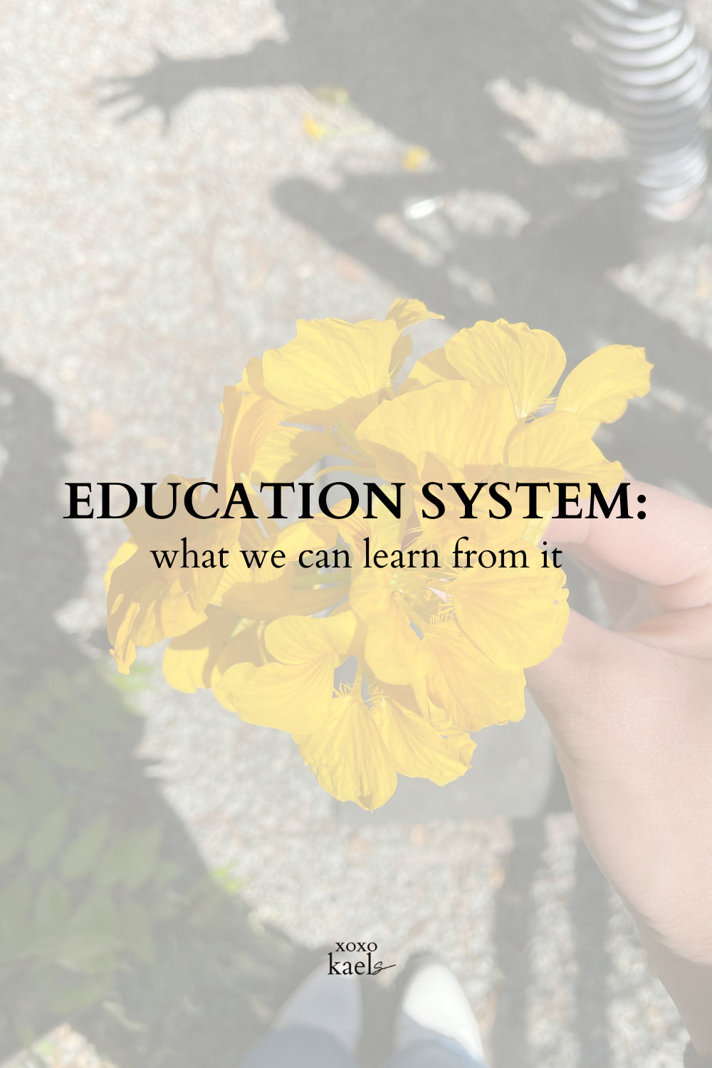 What we can all learn from the education system