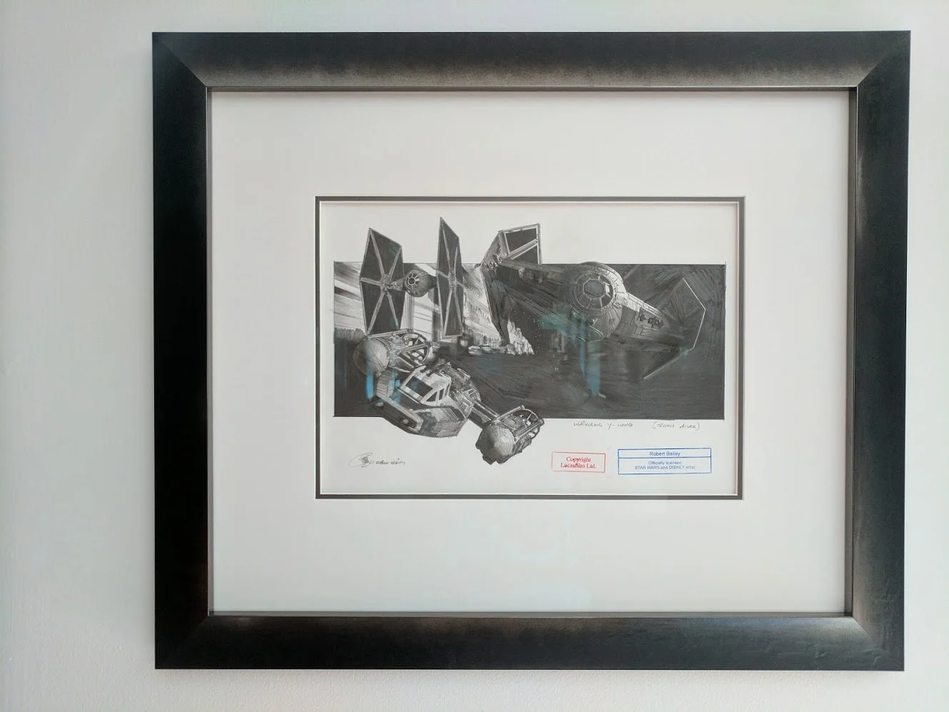 customframing-starwars-robertbailey.jpg
