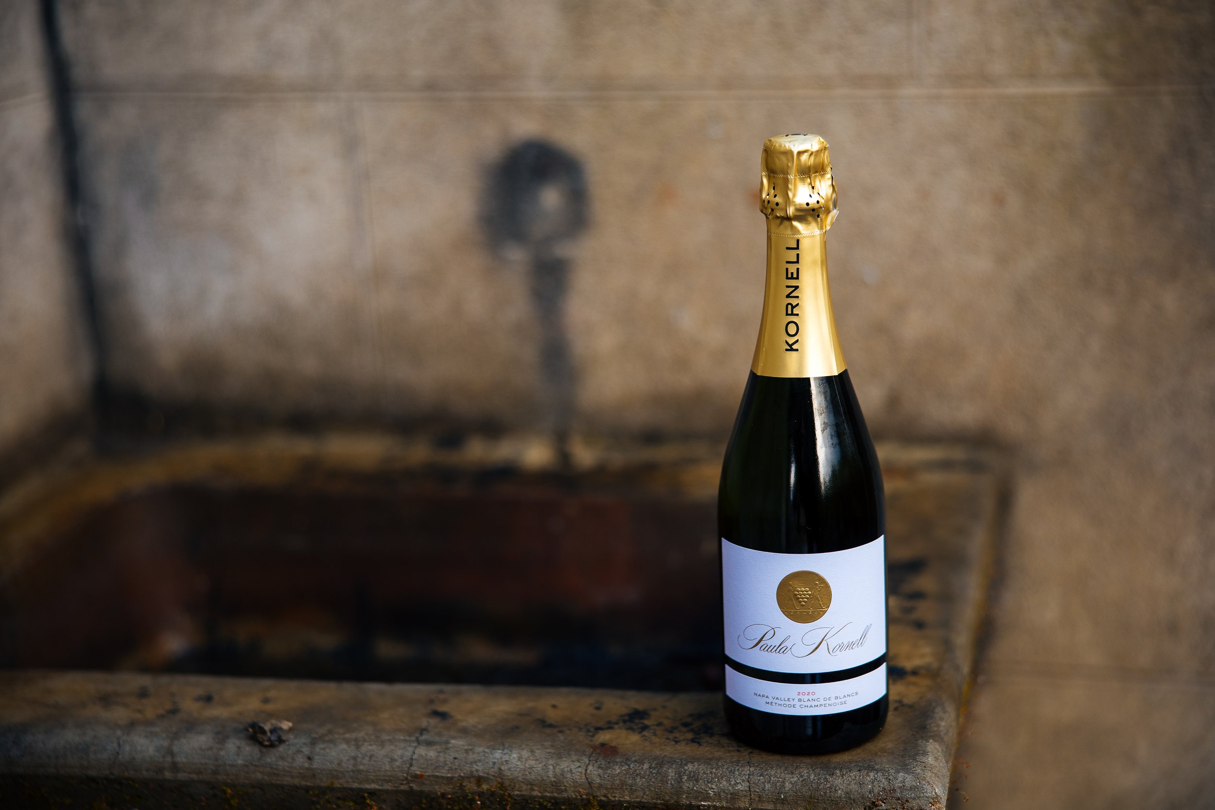 Master class with Monica Stevens and Vanessa Conlin - 2020 Blanc de Blancs