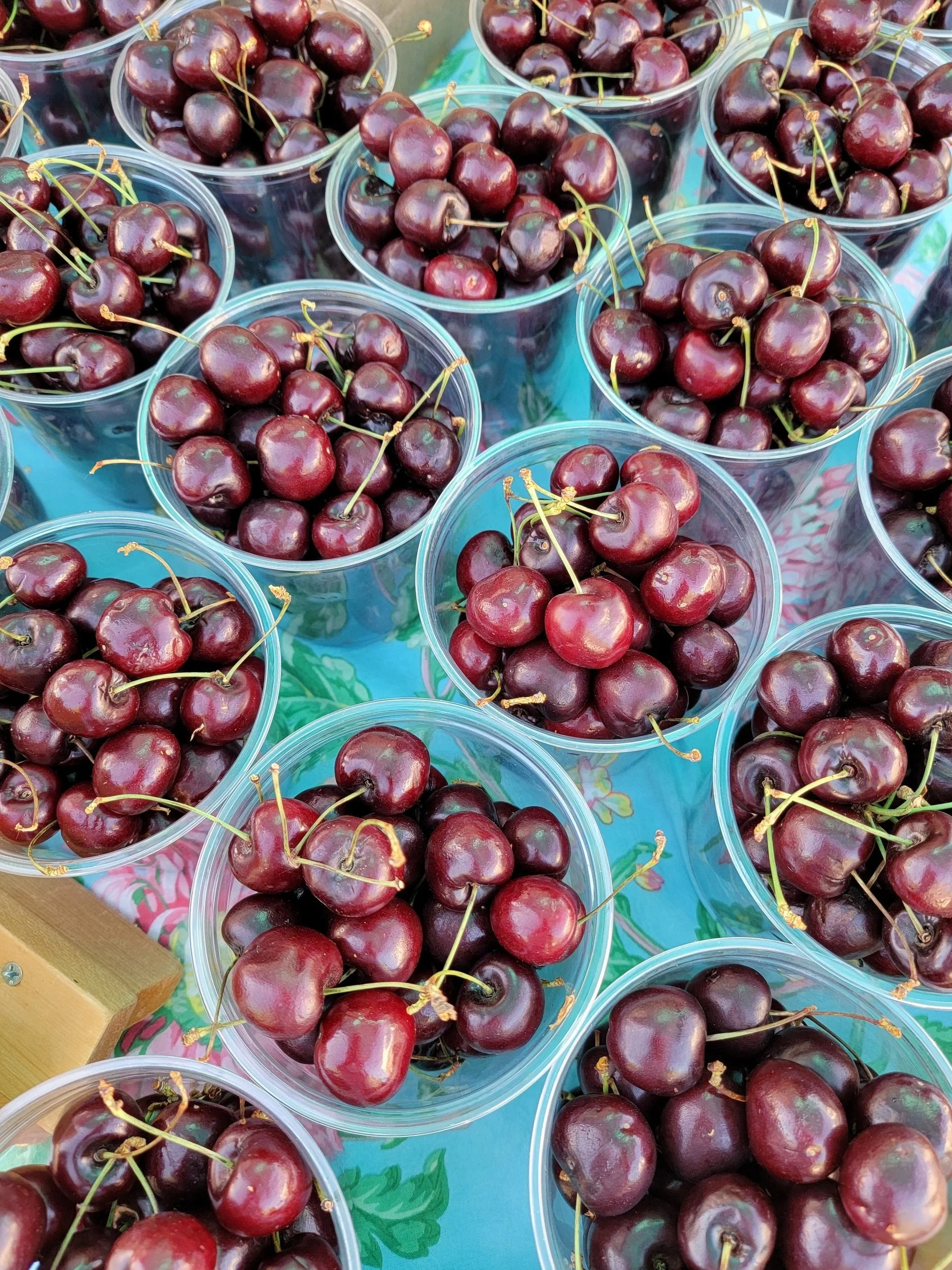 Summer Cherry Salsa