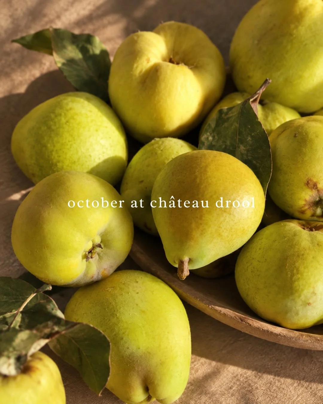 October means quince and pears for Paula &mdash; two of her favorite fall fruits, perfectly in season around Napa Valley. 🍁🍐🍾🧣

This beautiful bounty came from Paula&rsquo;s friend Carolyn at Canard Vineyards and is now making its way into Paula&