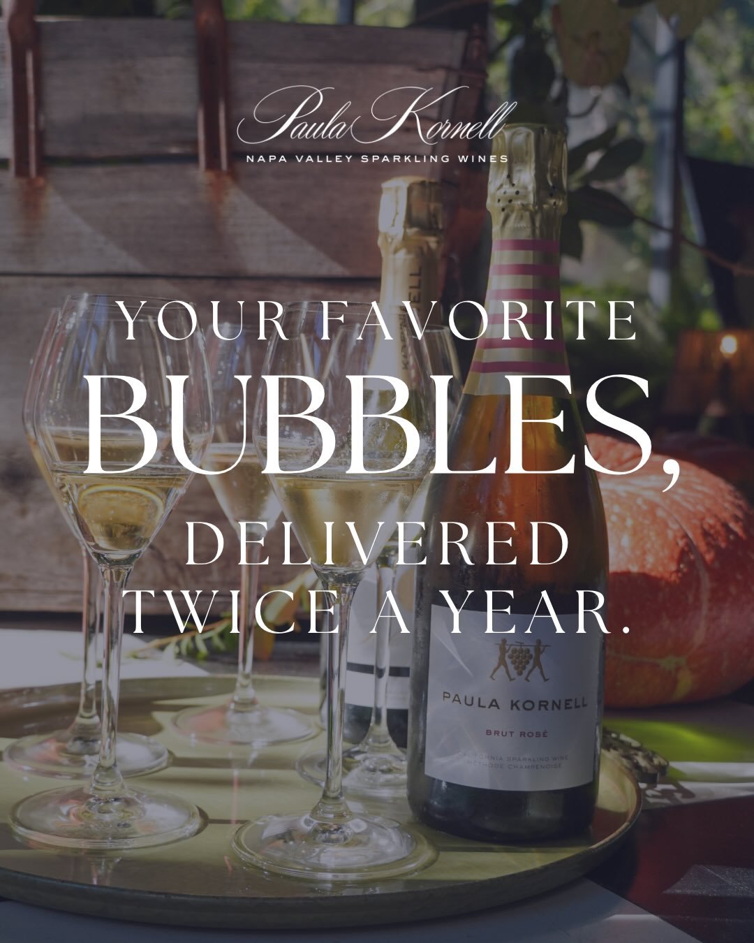 Your favorite bubbles, delivered twice a year! 🥂✨

Meet the With Sparkles Membership by Paula Kornell Sparkling. Choose 6 or 12 bottles delivered every spring and fall, and enjoy exclusive savings, early access to new releases, and special member ex