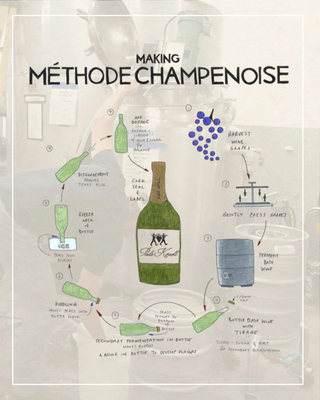 So, what happens after sparkling wine goes into the bottle? 🤔🍾

For traditional-method sparkling wine, the bottle is where the magic begins. 🪄🍇

During tirage, the base wine is bottled with a small addition of yeast and sugar, setting a second fe