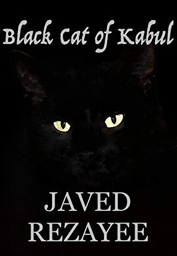 Black cat.jpg
