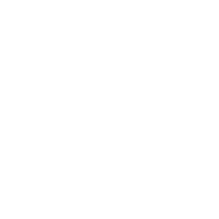 Arrow icon — We pioneered the process