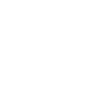 Checkmark icon — We validate the fraud