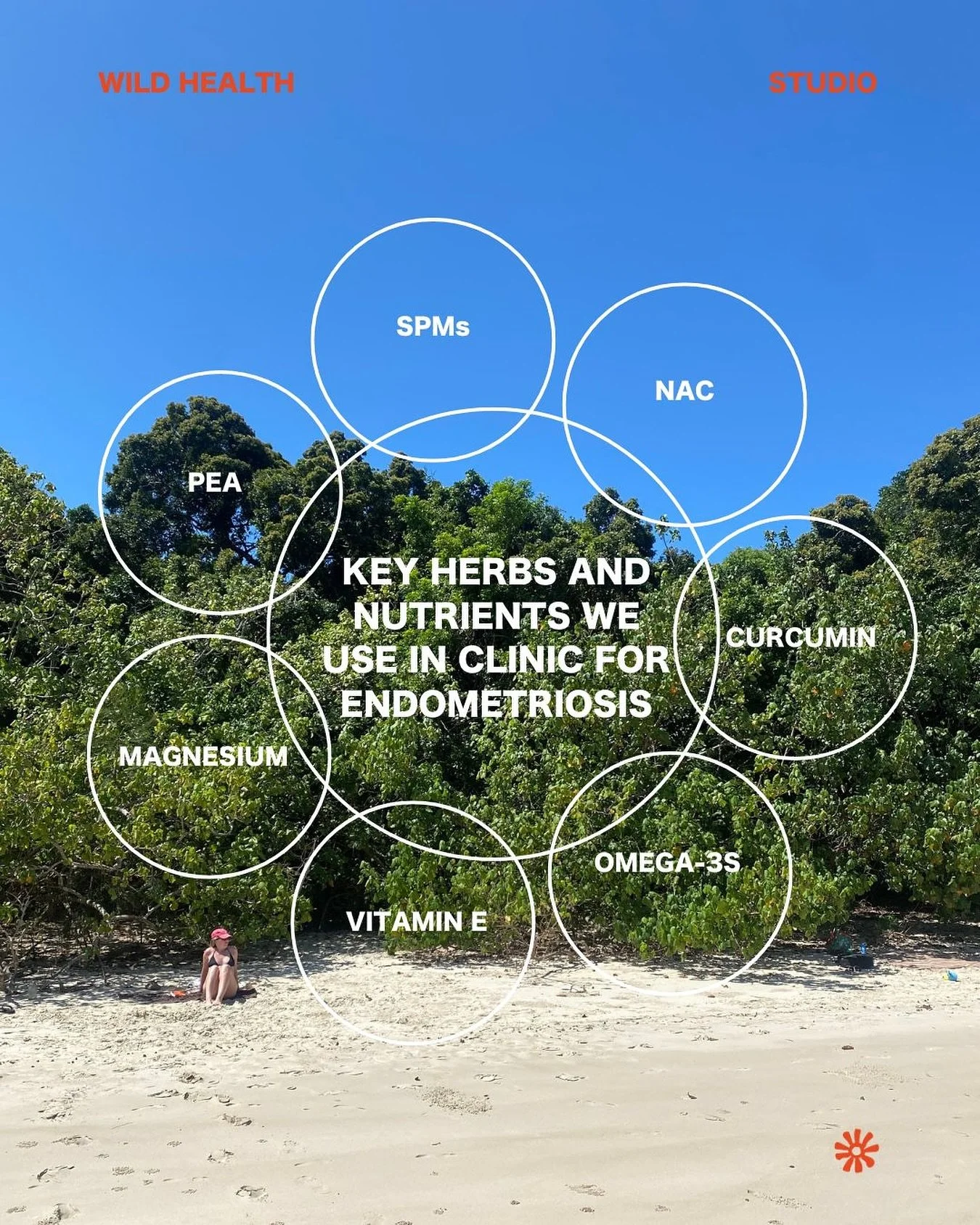 When supporting Endo, we look at your whole health picture and ensure we address your unique drivers. We commonly use any of these herbs and nutrients to bring back balance, whilst we also address any microbiome imbalances we find with testing. 

Und