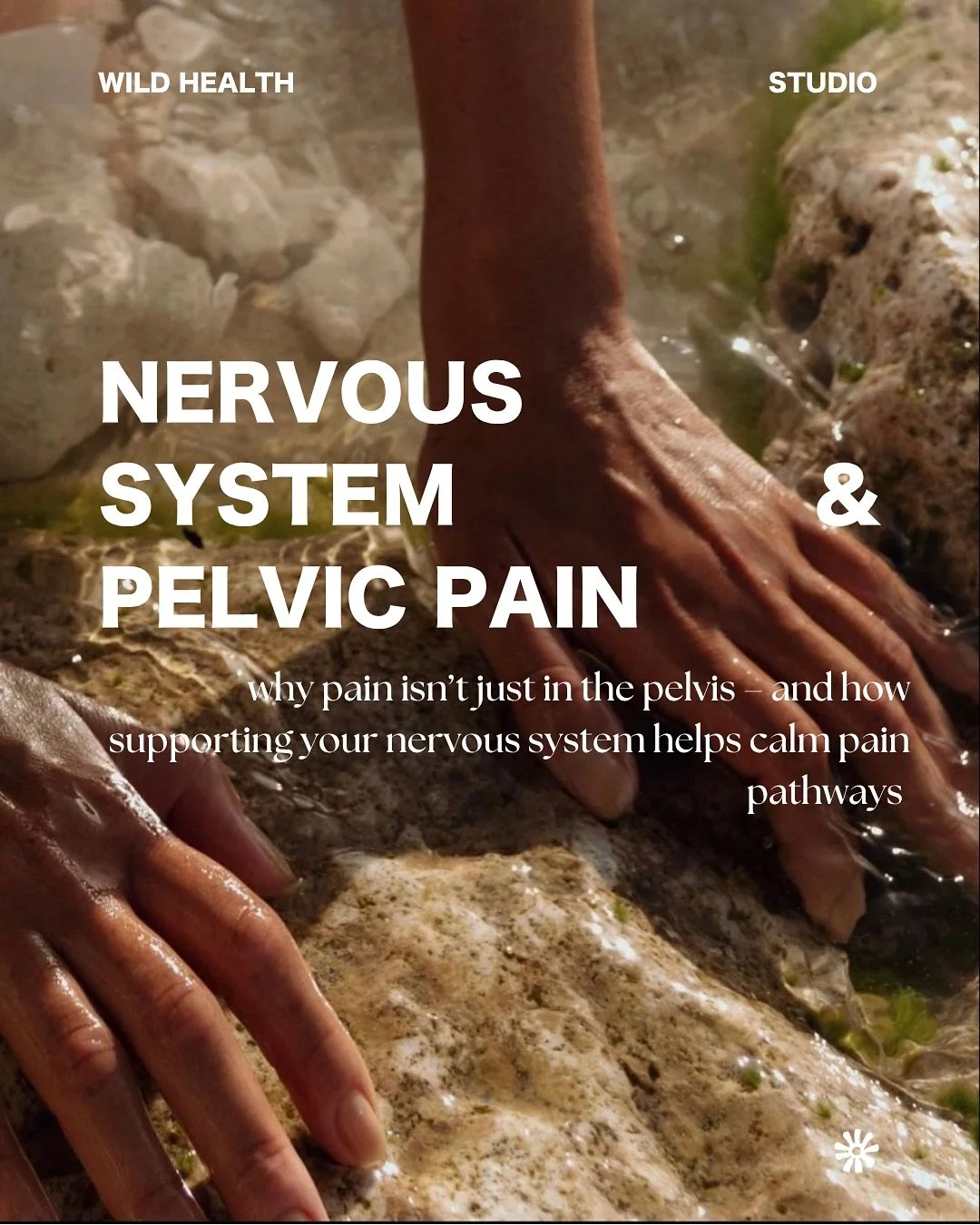 I&rsquo;m sure you&rsquo;ve been told a million times that your stress impacts your Endo or pain symptoms, but this explains a bit about how and gives some tangible solutions you can work on straight away! 

.
.
.
.
.
.

#yourperiodisyourpower #women