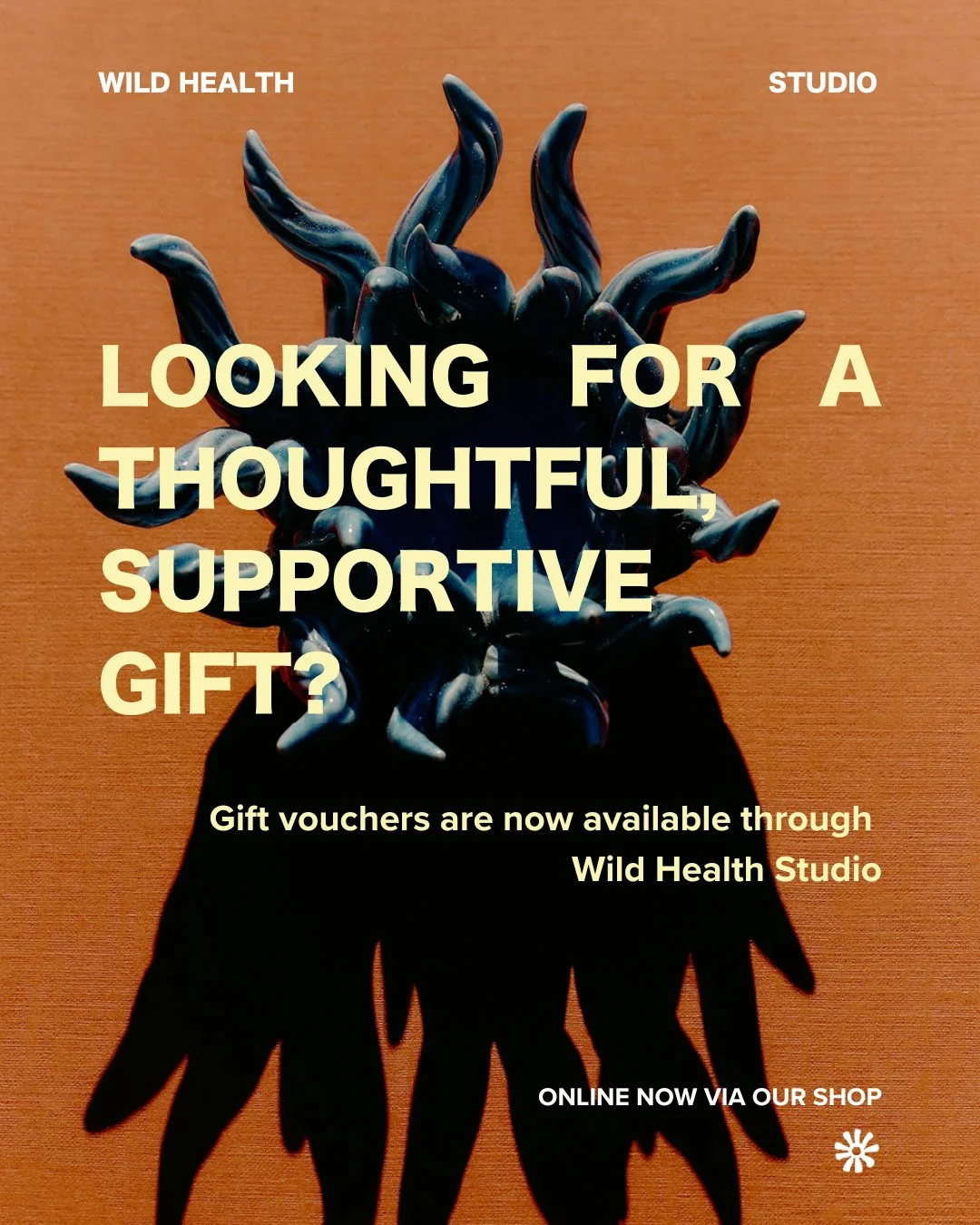 Looking for a thoughtful, supportive gift? Gift vouchers are now available through Wild Health Studio. ⁠
⁠
Instead of gifting something that gets used once and forgotten, this offers something far more meaningful: space, clarity and support for the w