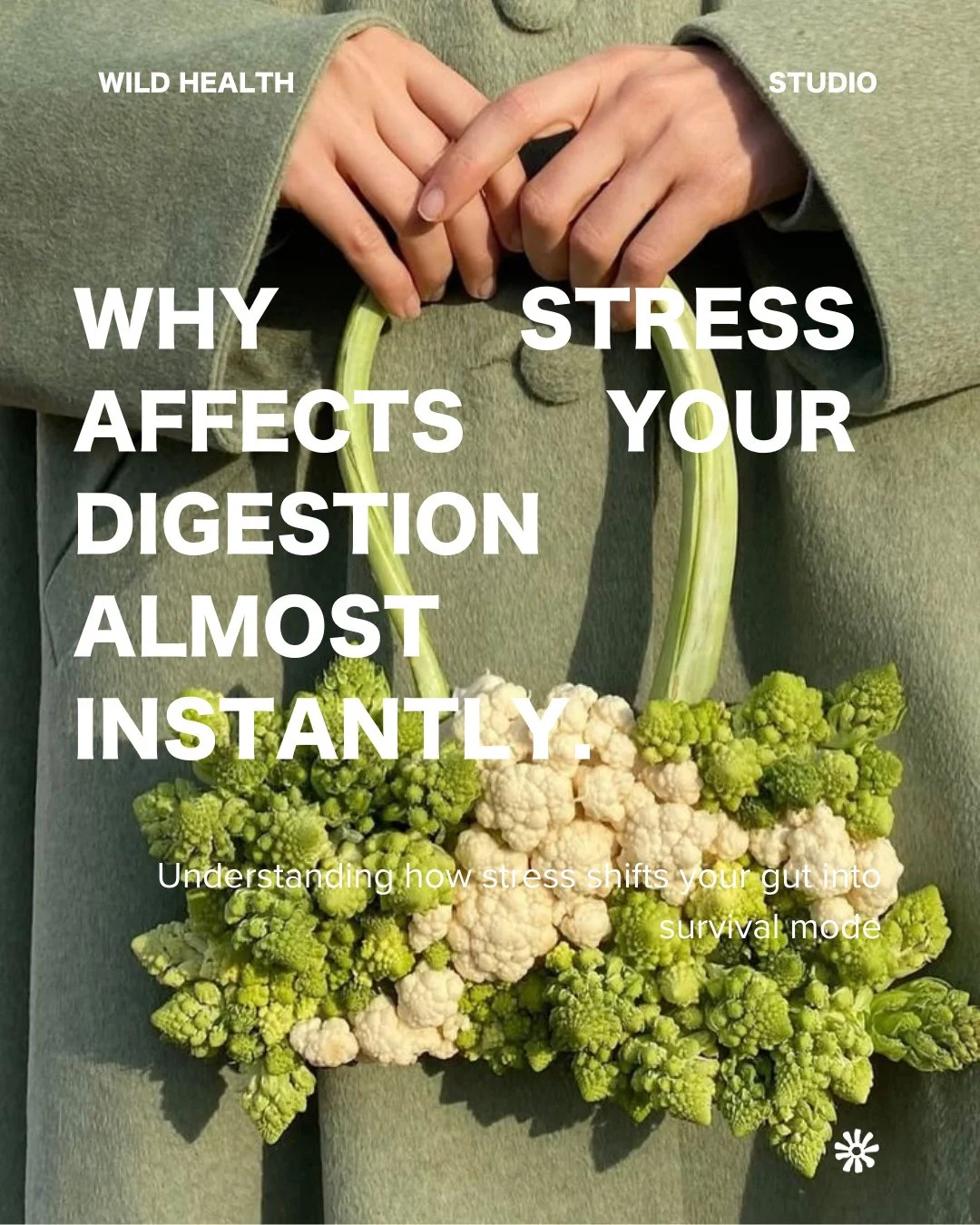 If your digestion feels off this week, there is a physiological explanation.⁠
⁠
When your body is in a stressed or overstimulated state, digestion slows because the body prioritises survival over breakdown and absorption (aka it's in fight or flight,