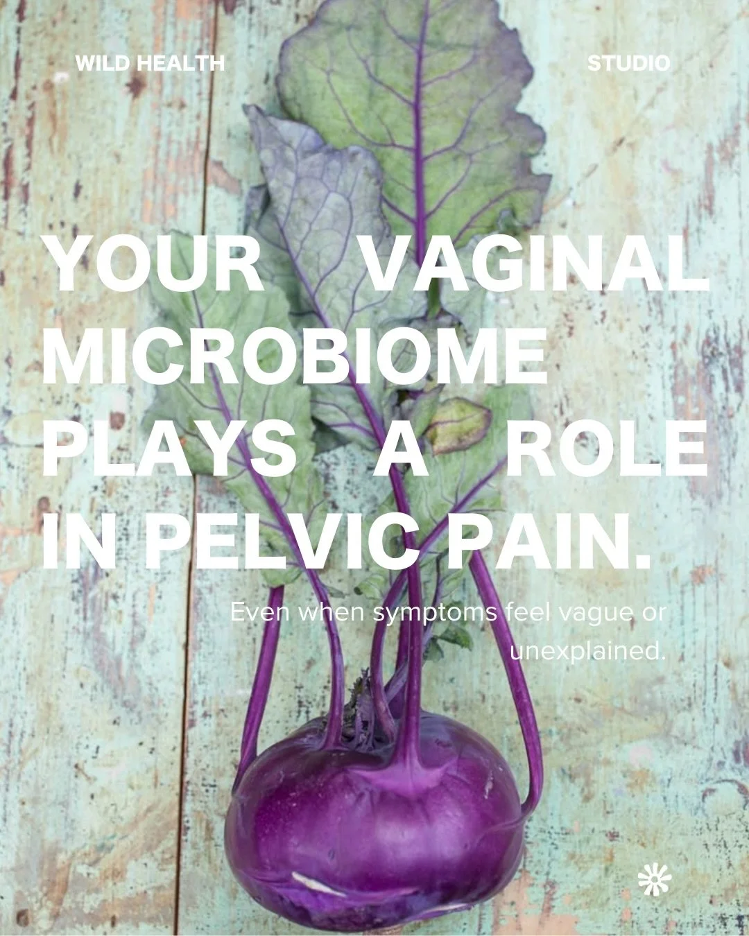 The vaginal microbiome plays an important role in pelvic health, inflammation, and symptom patterns. It is relevant beyond thrush or BV. Microbiome balance can influence tissue health, immune responses, and how the pelvic area responds across the cyc