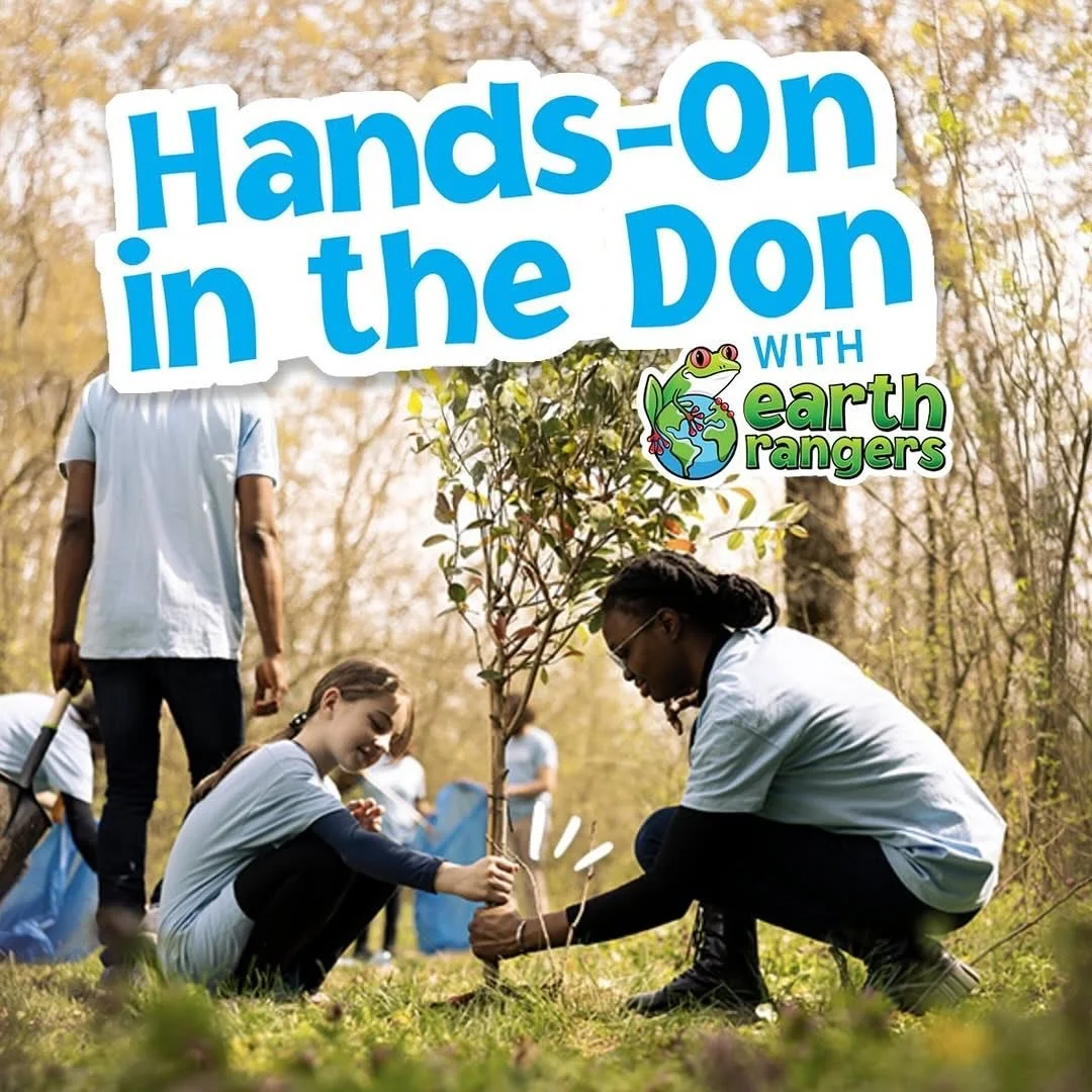 Really looking forward to a great event with Earth Rangers (@earth_rangers)
 π’ You’re Invited: Hands-On in the Don with Earth Rangers!
 ποΈ Friday, September 26, 2025
 β°1 2–3:30 30 PM
 π 11 Redway Road (Loblaw’s/Crothers Woods
